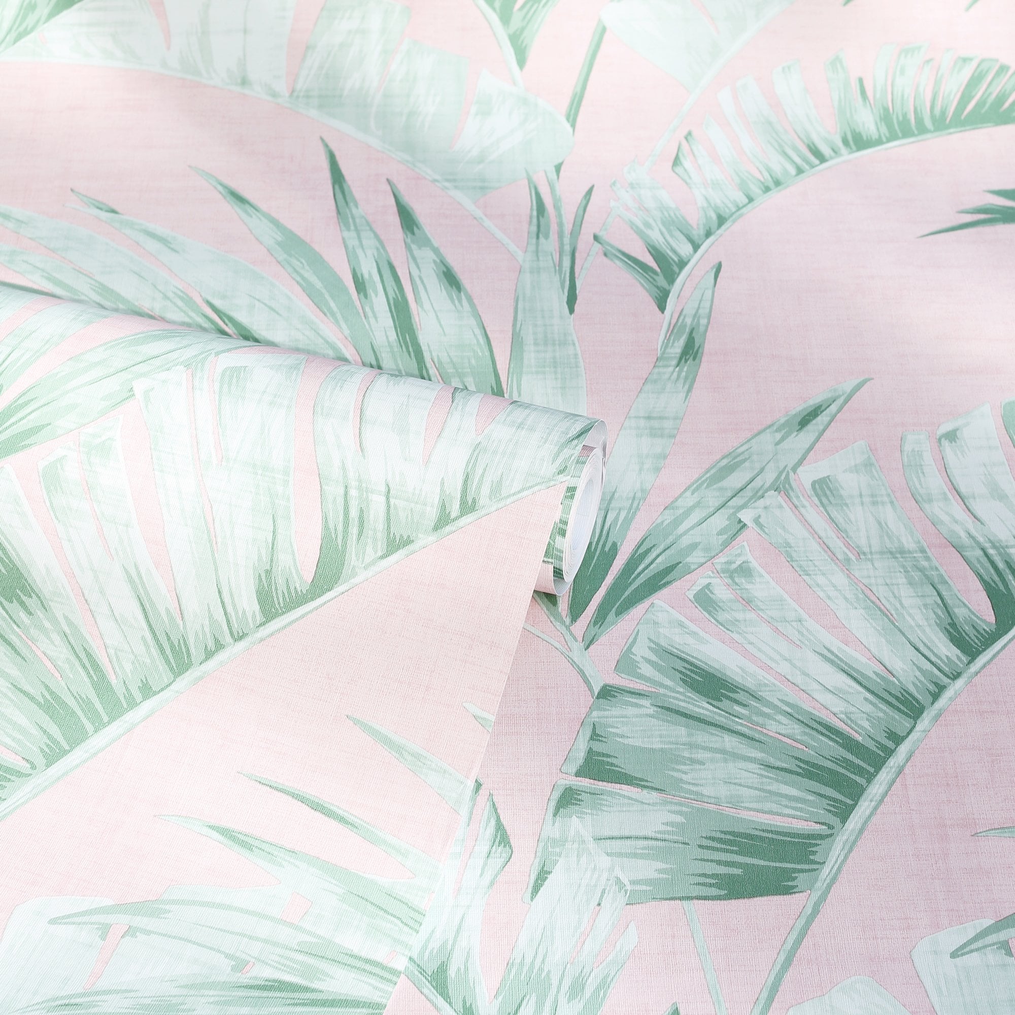 Pink Palm Leaf Wallpapers