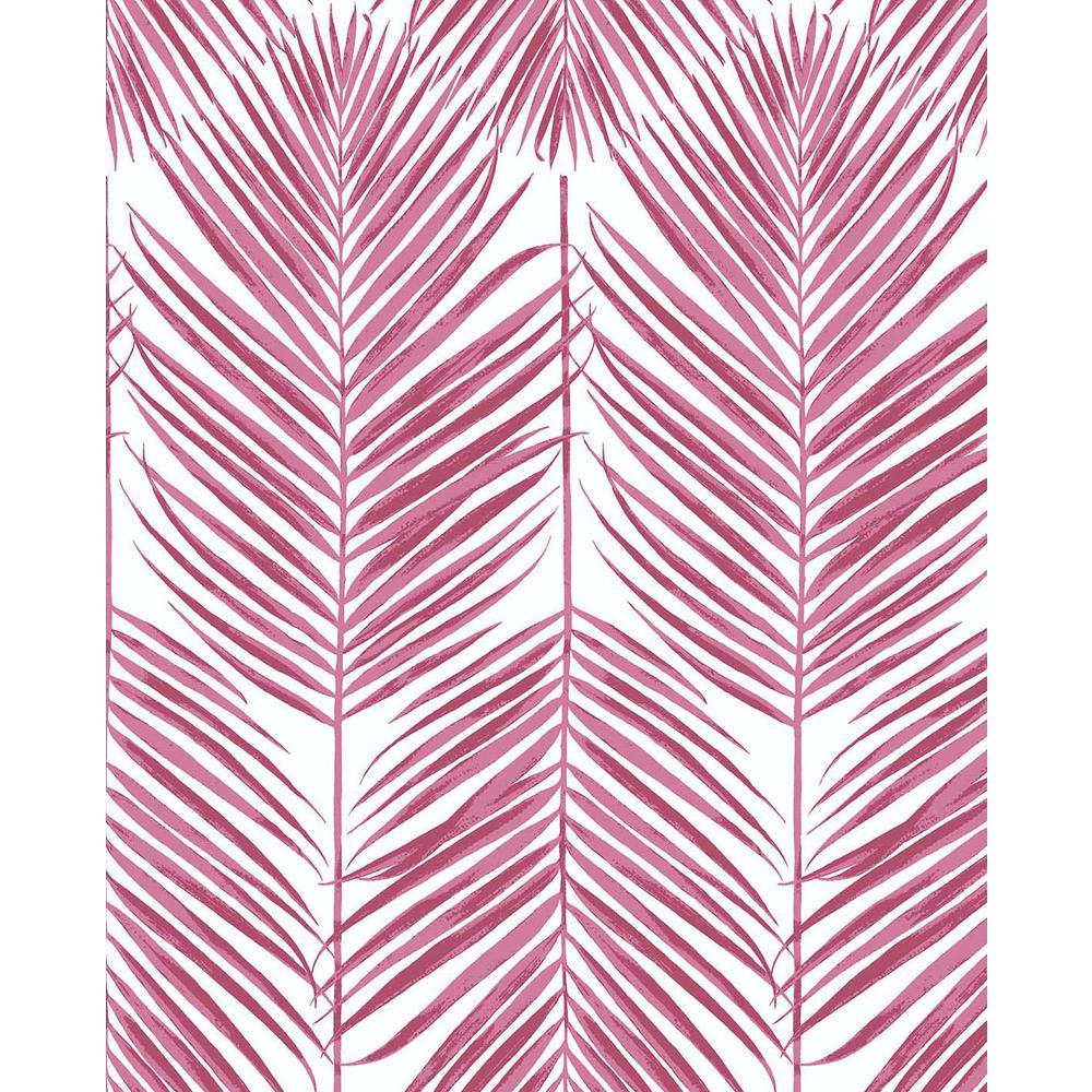 Pink Palm Leaf Wallpapers