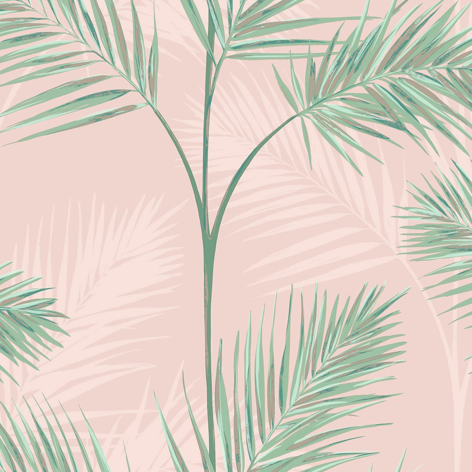 Pink Palm Leaf Wallpapers