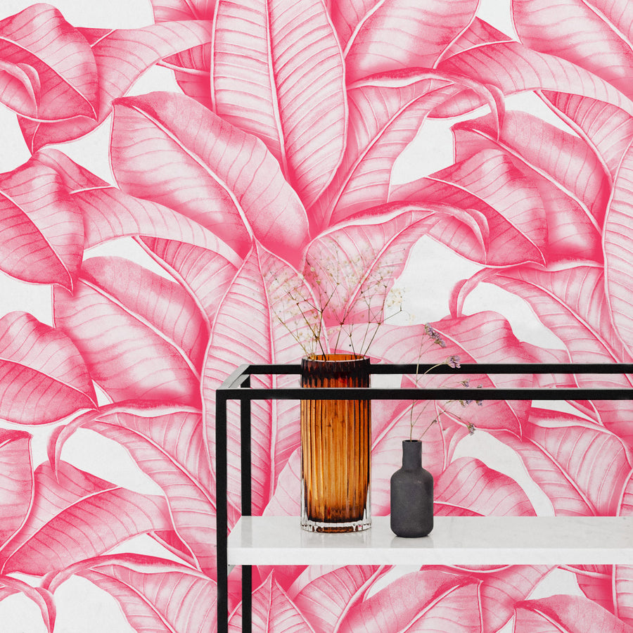 Pink Palm Leaf Wallpapers