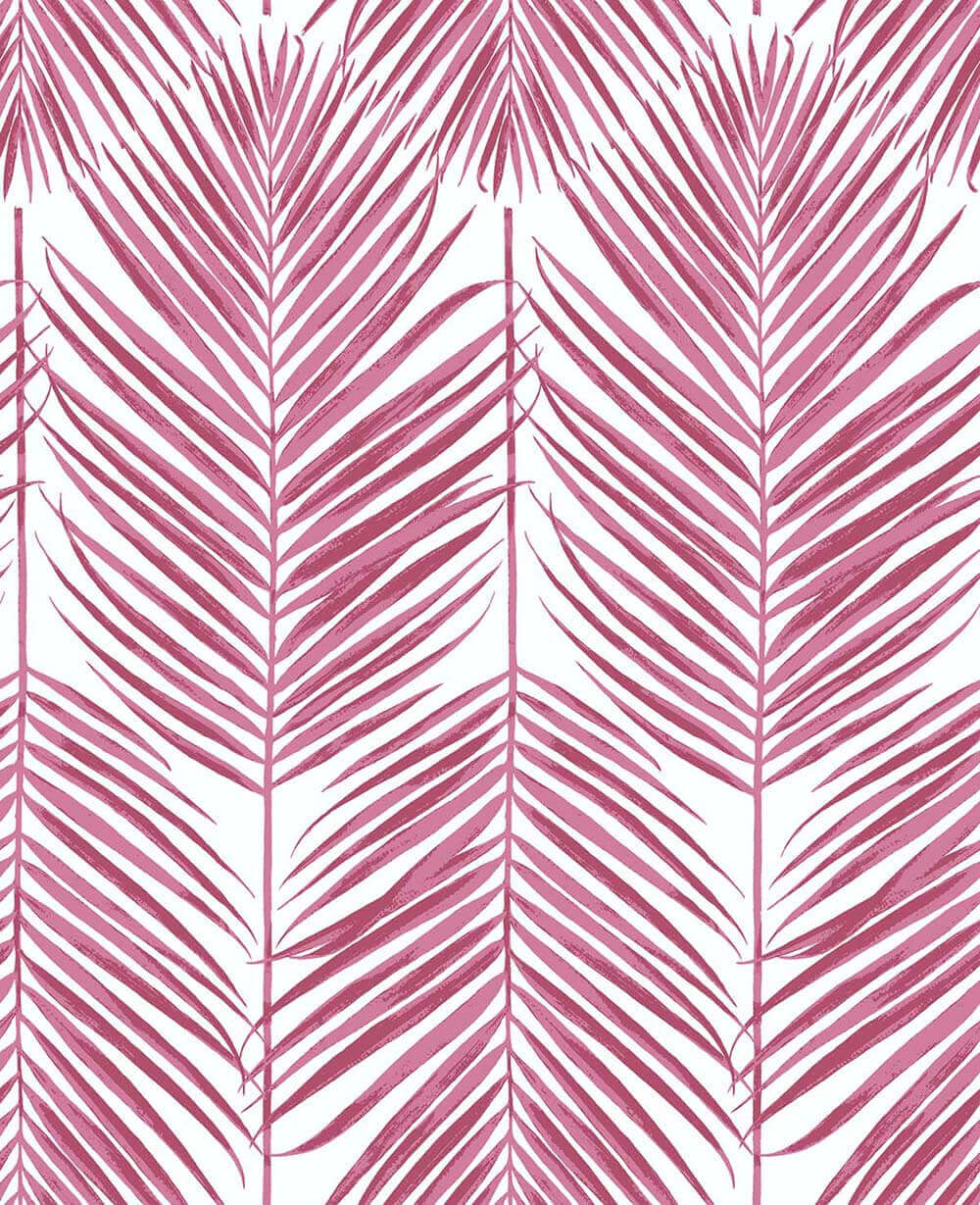 Pink Palm Leaf Wallpapers