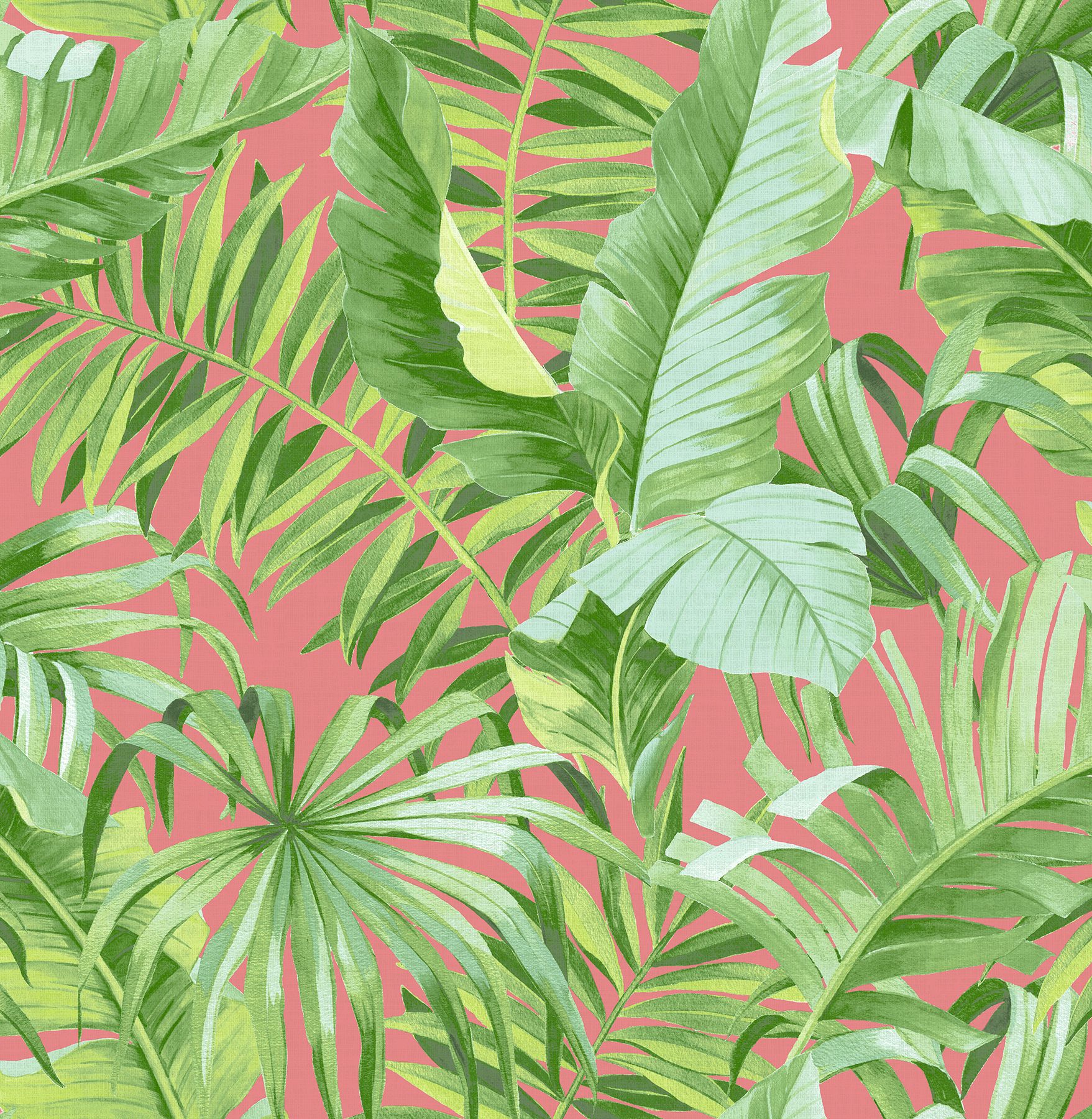 Pink Palm Leaf Wallpapers