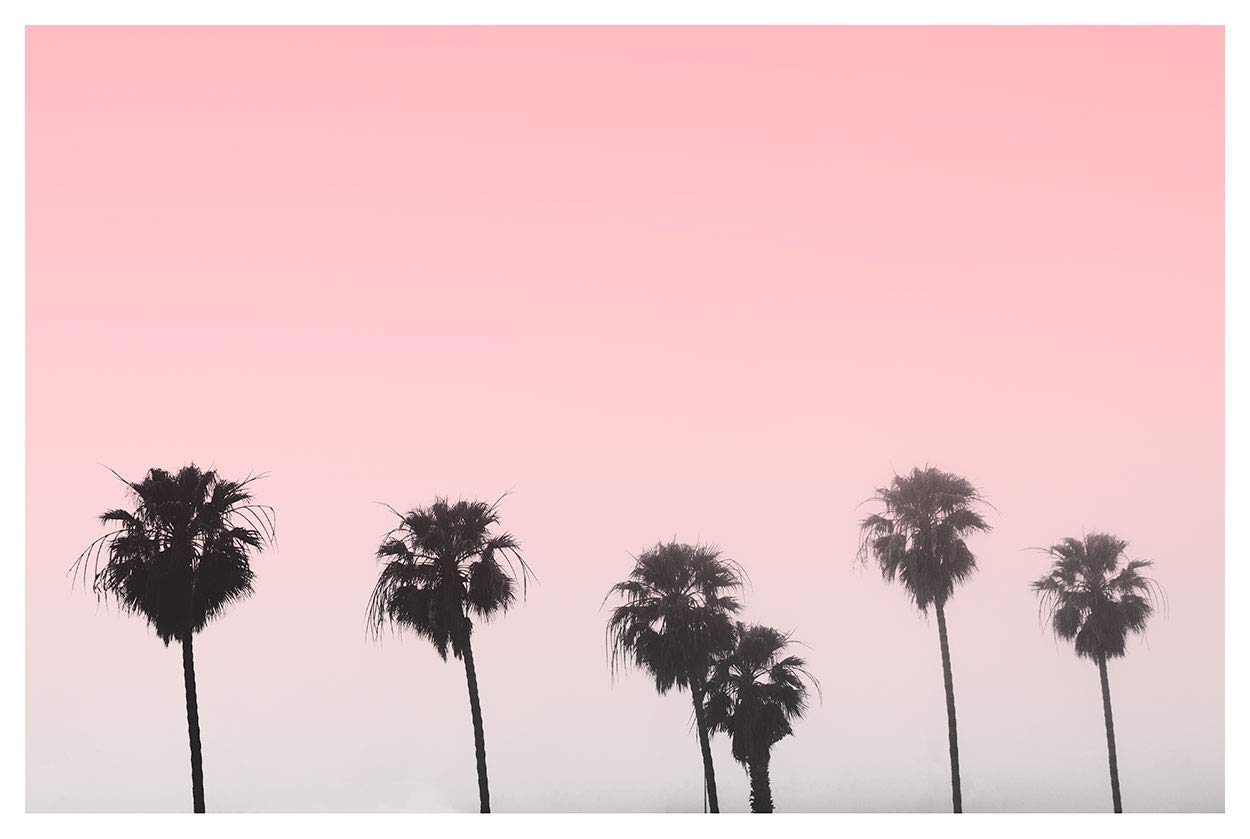 Pink Palm Tree Wallpapers