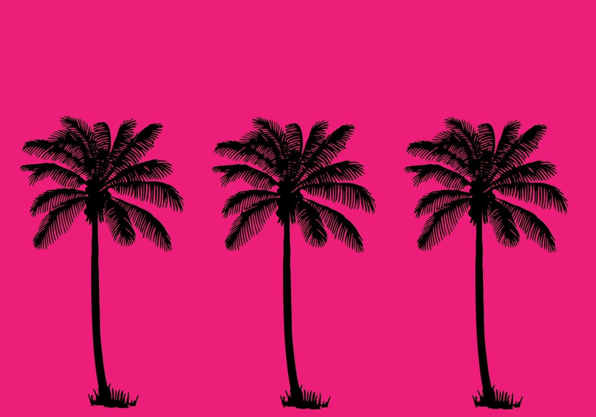 Pink Palm Tree Wallpapers