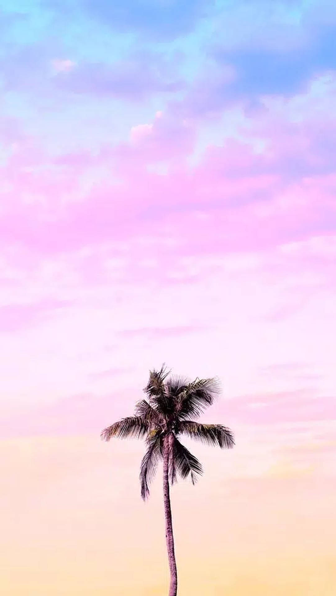 Pink Palm Tree Wallpapers