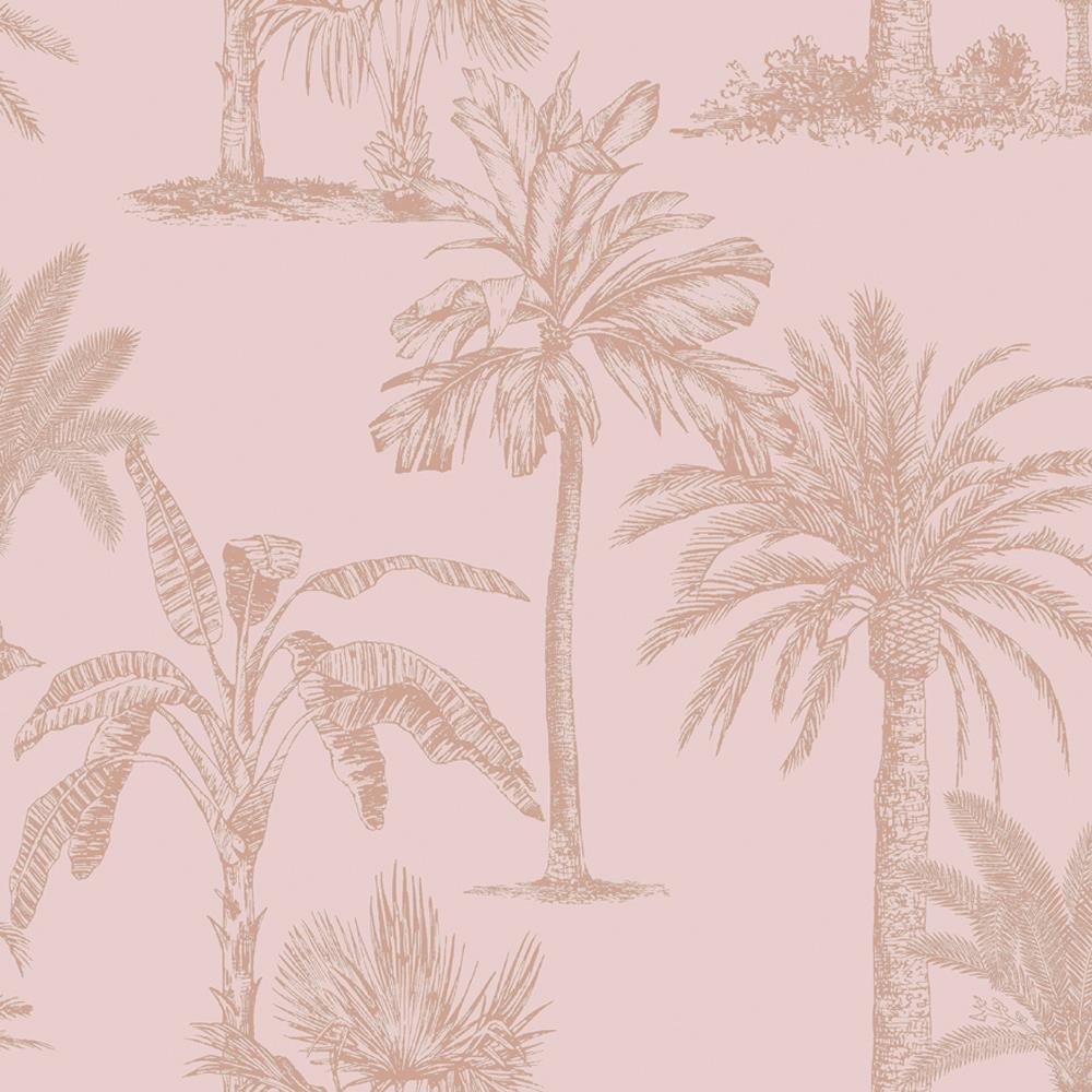 Pink Palm Tree Wallpapers