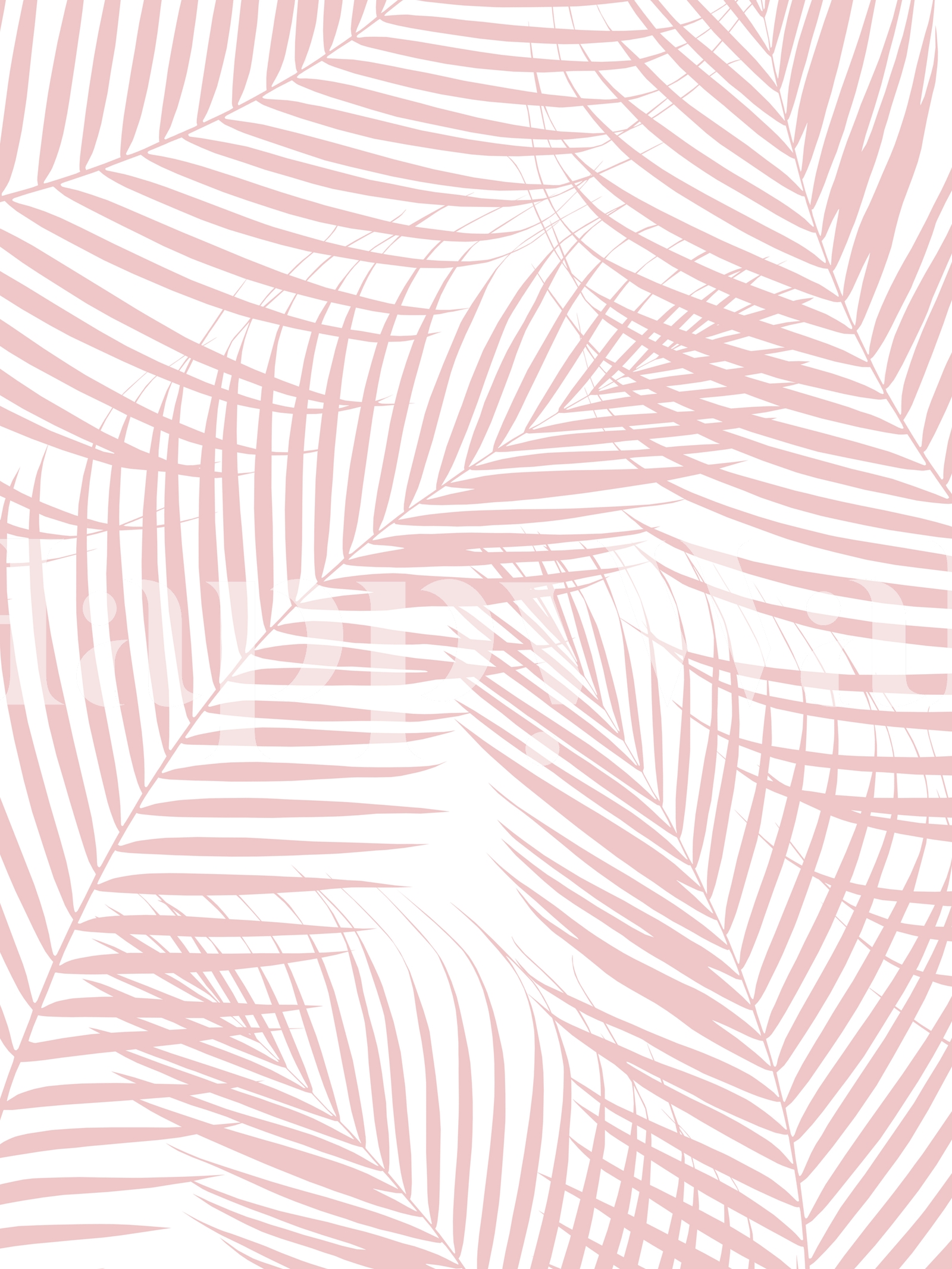 Pink Palm Wallpapers