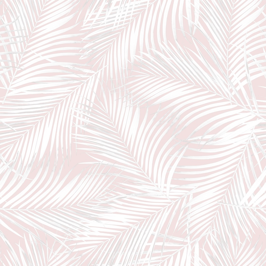 Pink Palm Wallpapers