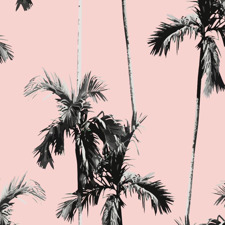 Pink Palm Wallpapers