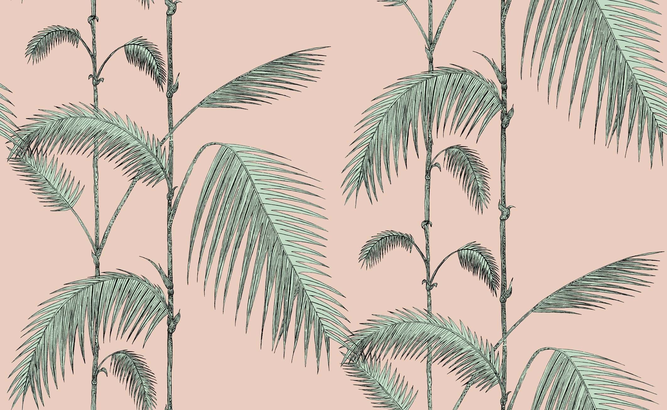 Pink Palm Wallpapers