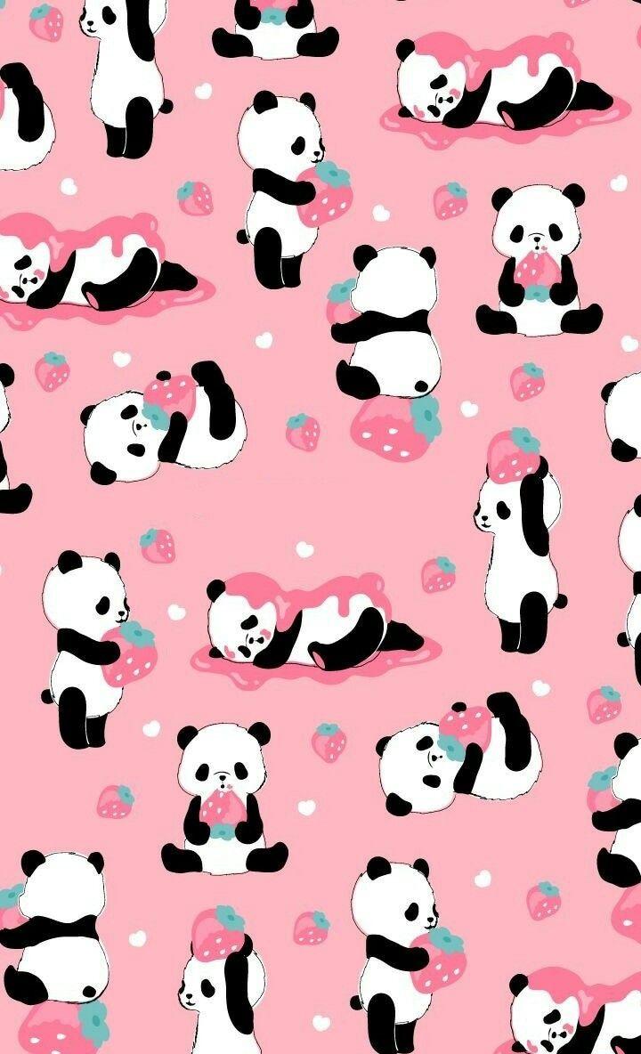 Pink Panda Wallpapers