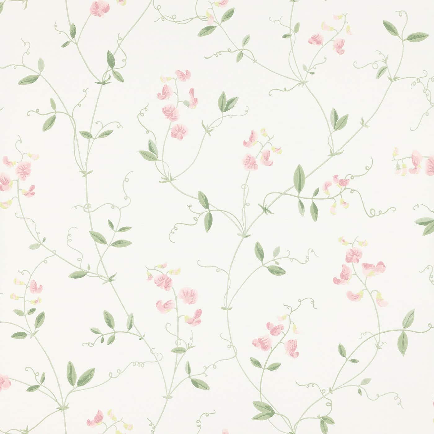 Pink Pattern Wallpapers