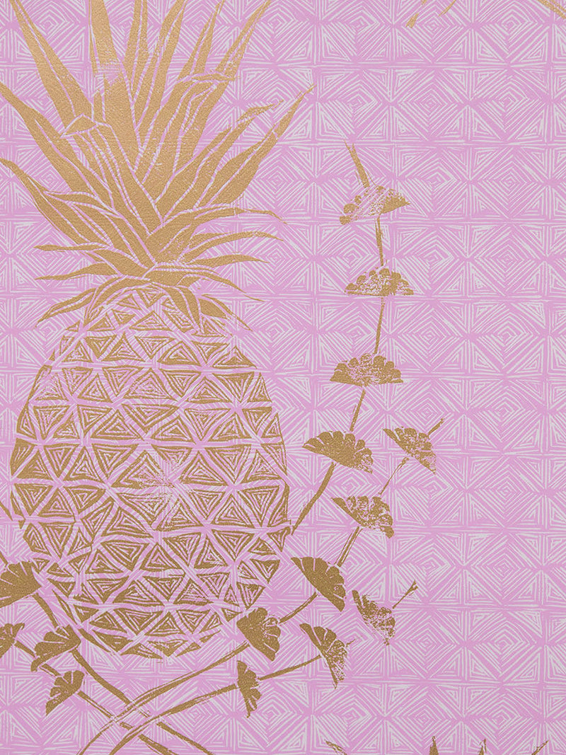 Pink Pineapple Wallpapers