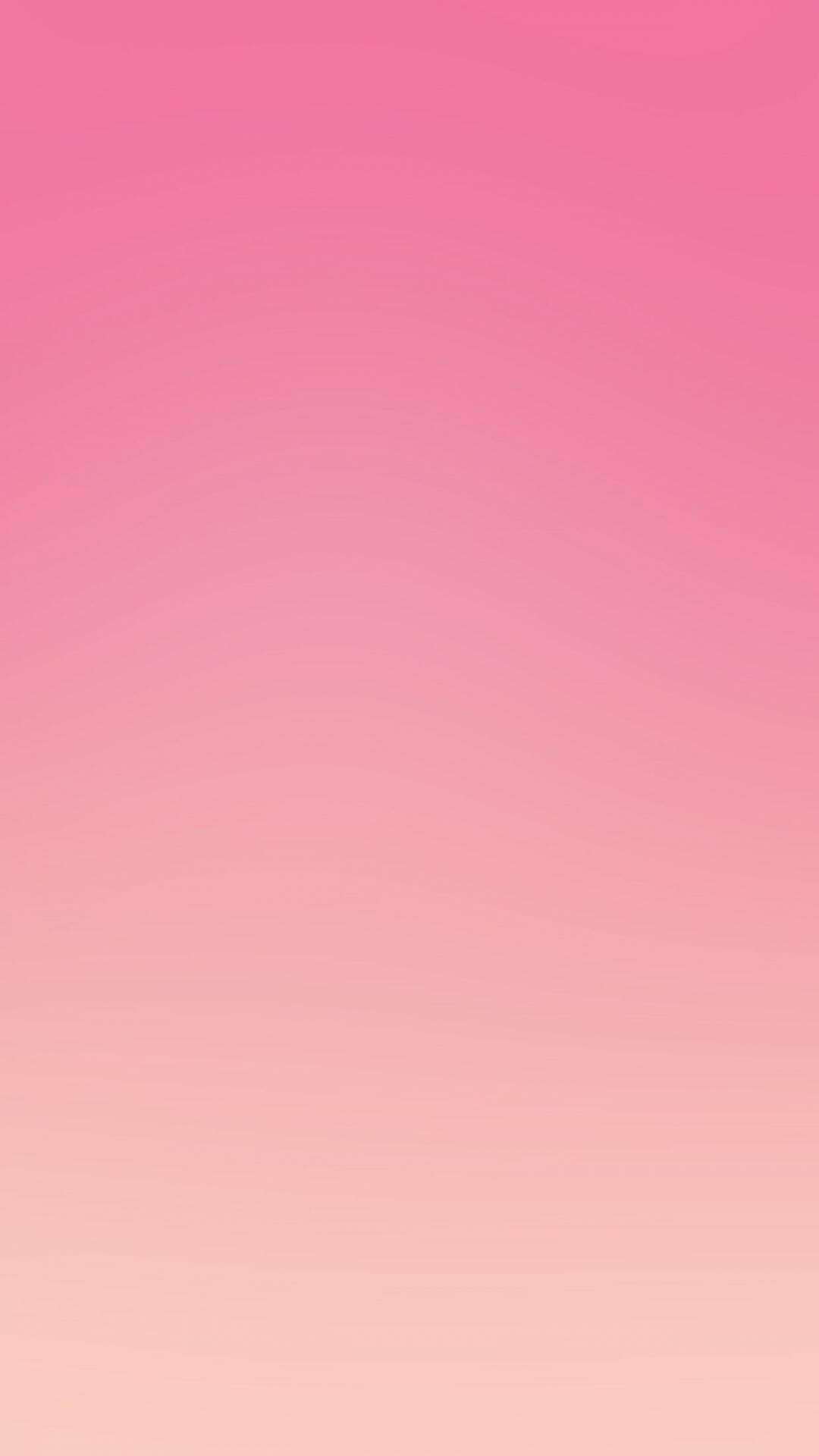 Pink Plain Wallpapers