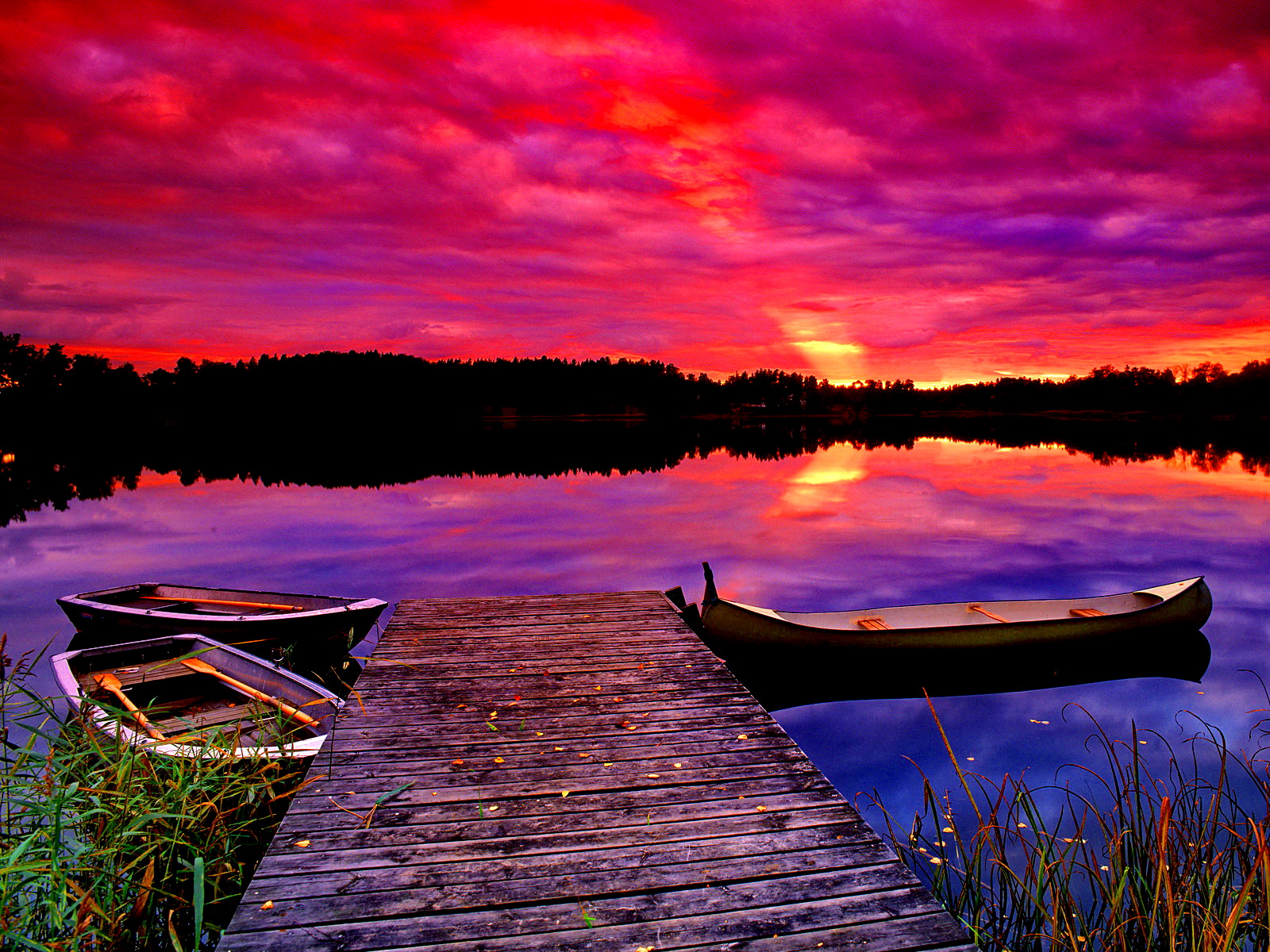 Pink Purple Sunset Near Lake Wallpapers