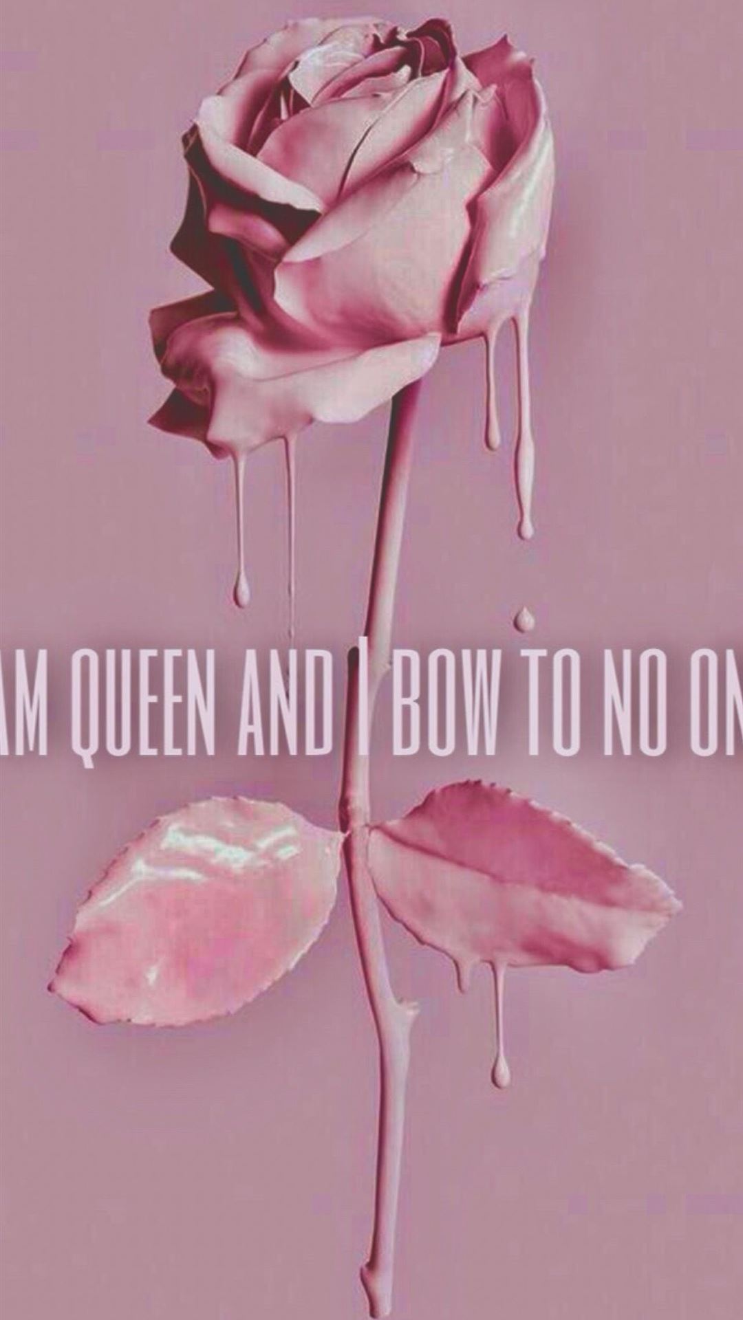 Pink Queen Wallpapers