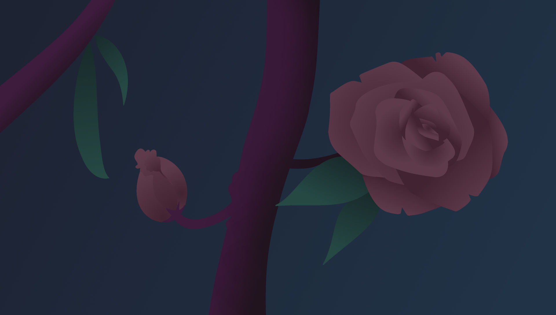 Pink Rose Minimalist Wallpapers