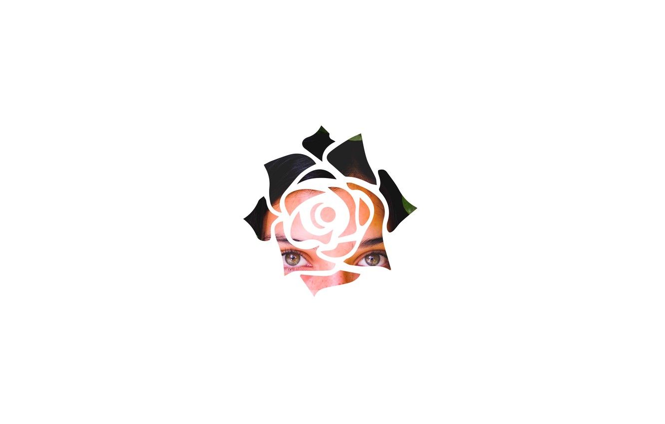 Pink Rose Minimalist Wallpapers