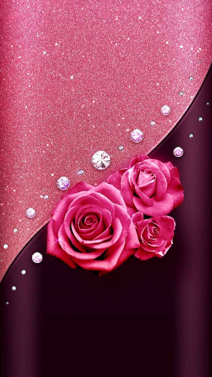 Pink Rose Wallpapers