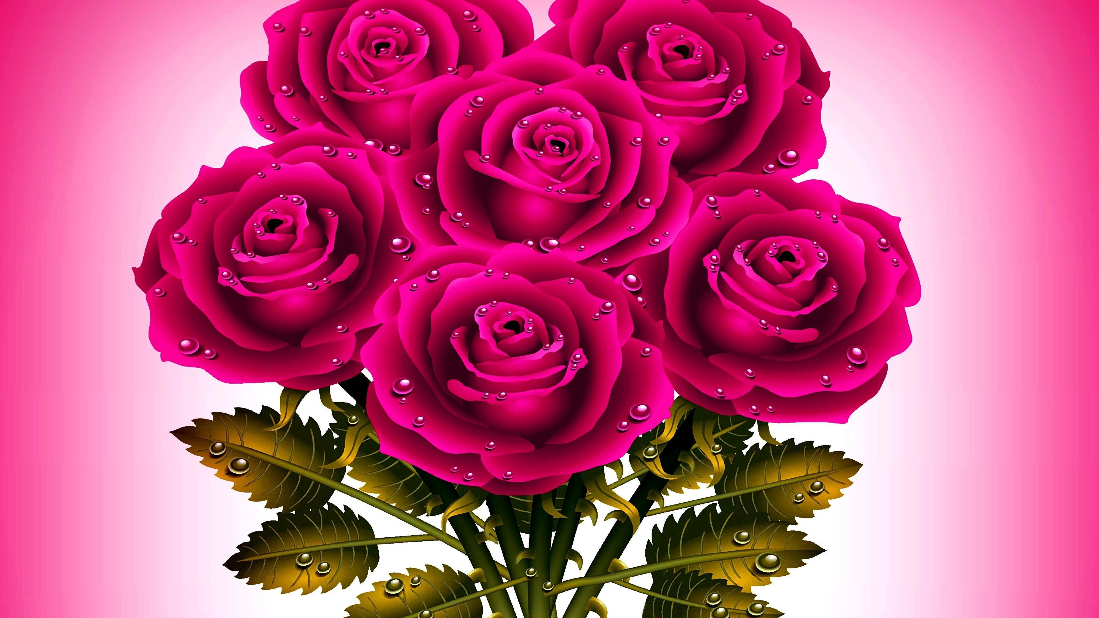 Pink Roses Hd Wallpapers