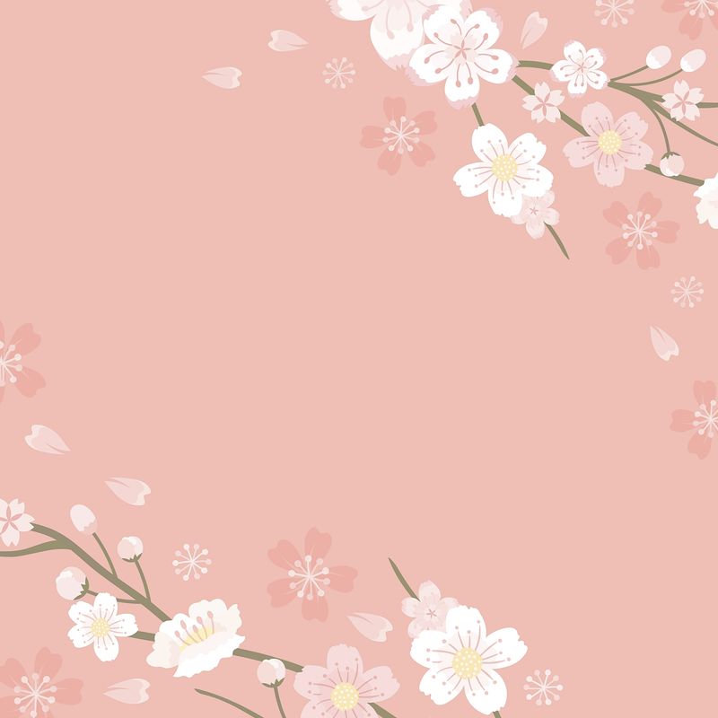 Pink Sakura Wallpapers