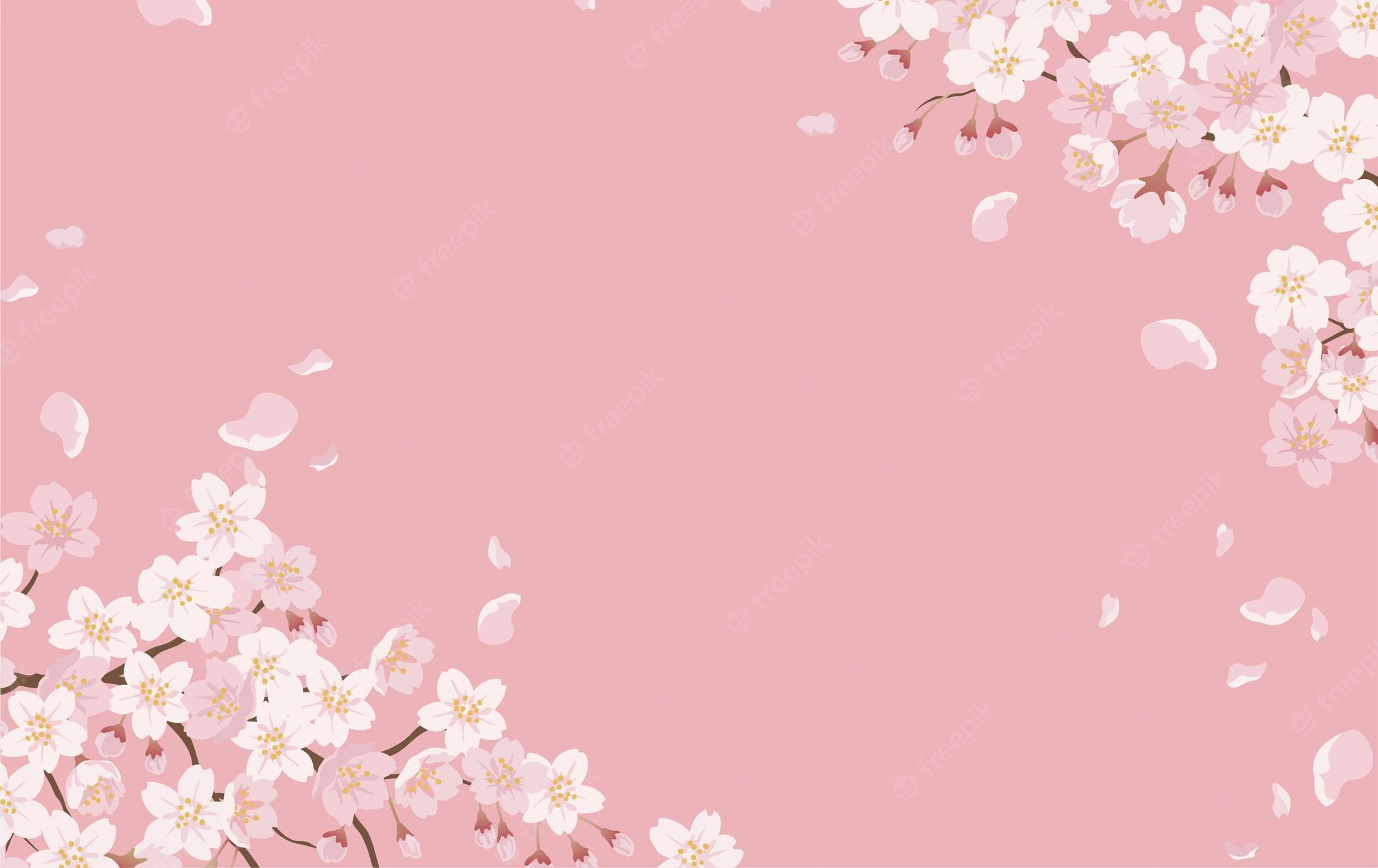 Pink Sakura Wallpapers