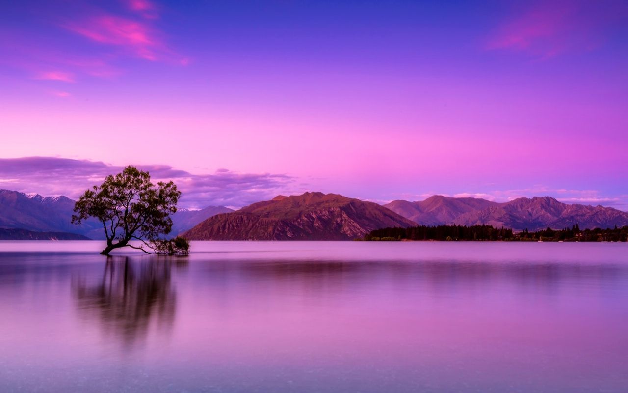 Pink Scenery Wallpapers