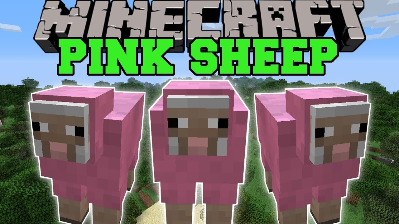 Pink Sheep Wallpapers