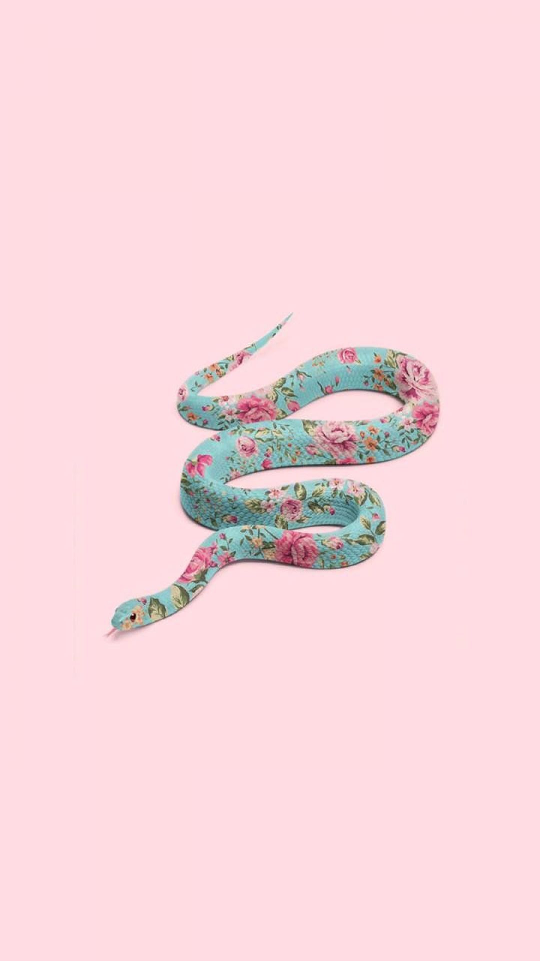 Pink Snake Hd Wallpapers