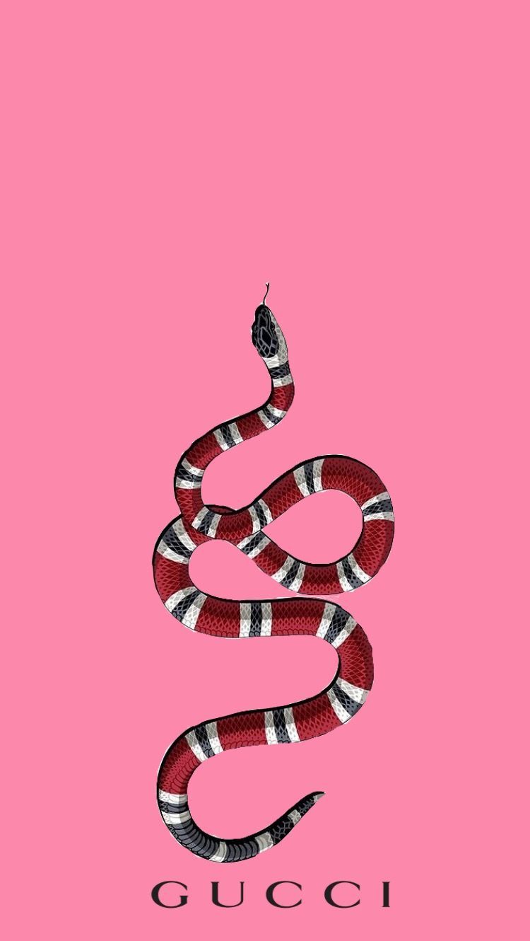 Pink Snake Hd Wallpapers