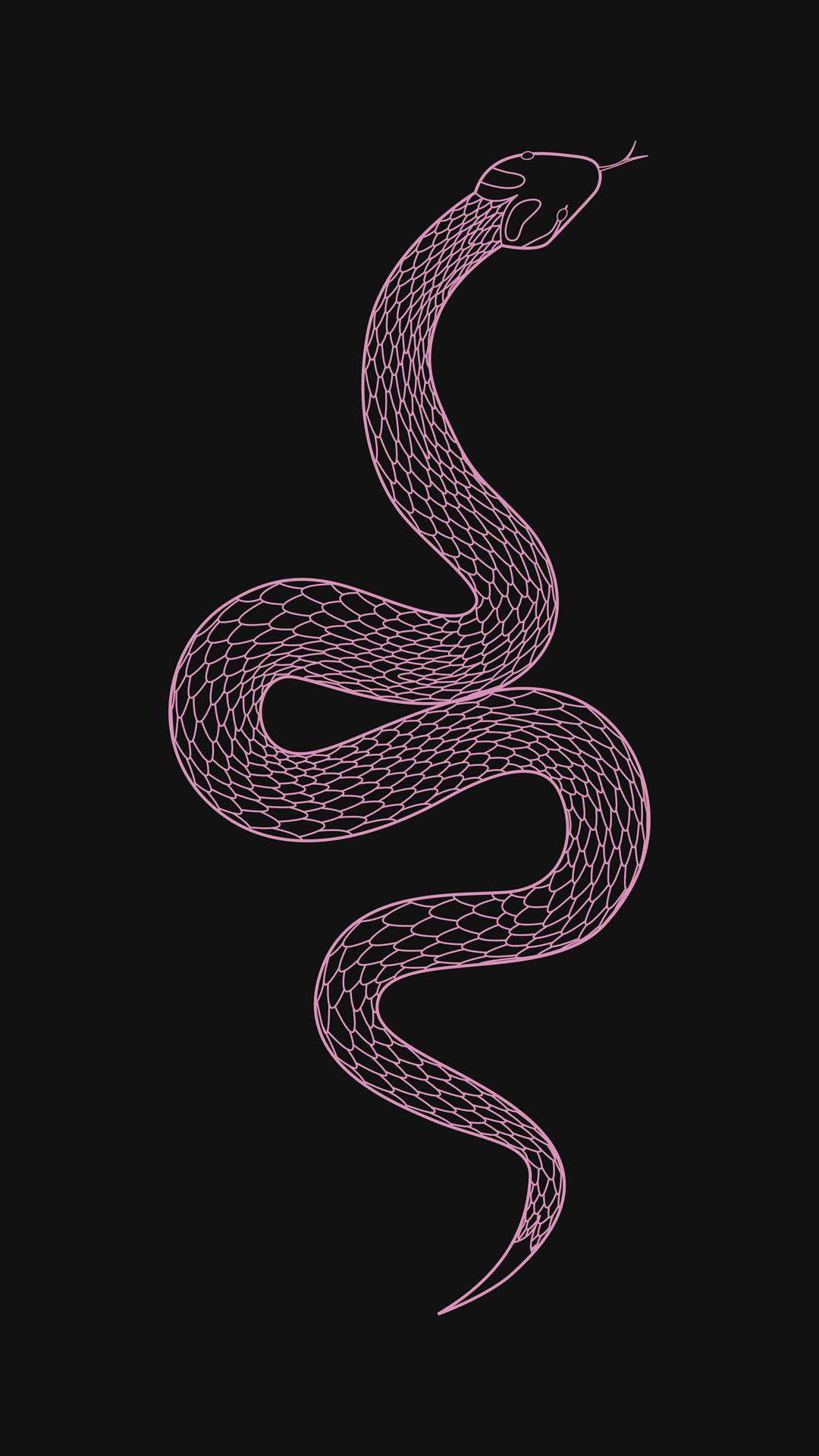 Pink Snake Hd Wallpapers