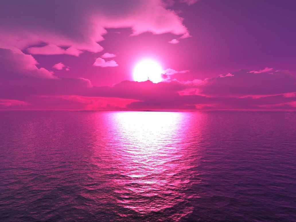 Pink Sunset Wallpapers