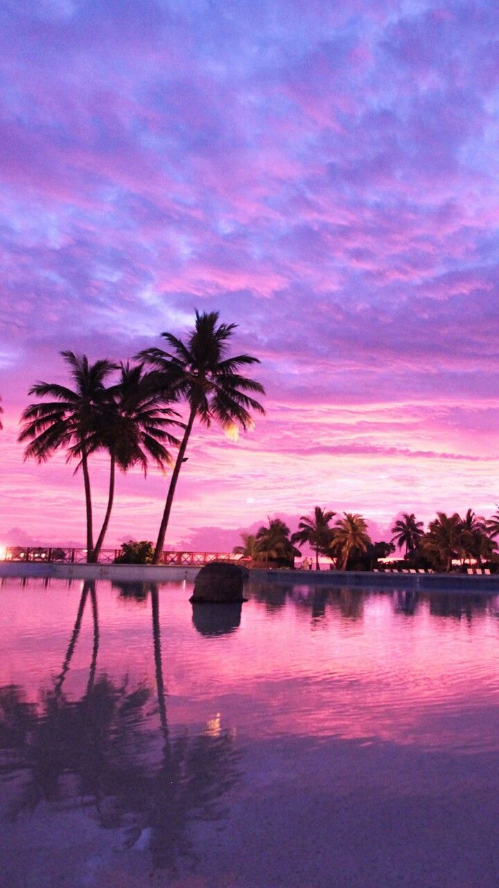 Pink Sunset Wallpapers