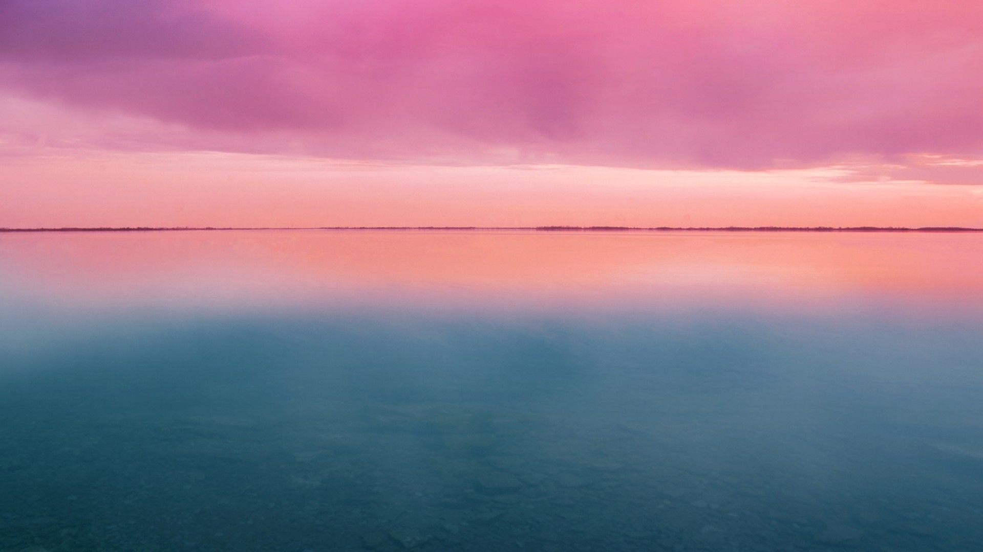 Pink Sunset Wallpapers