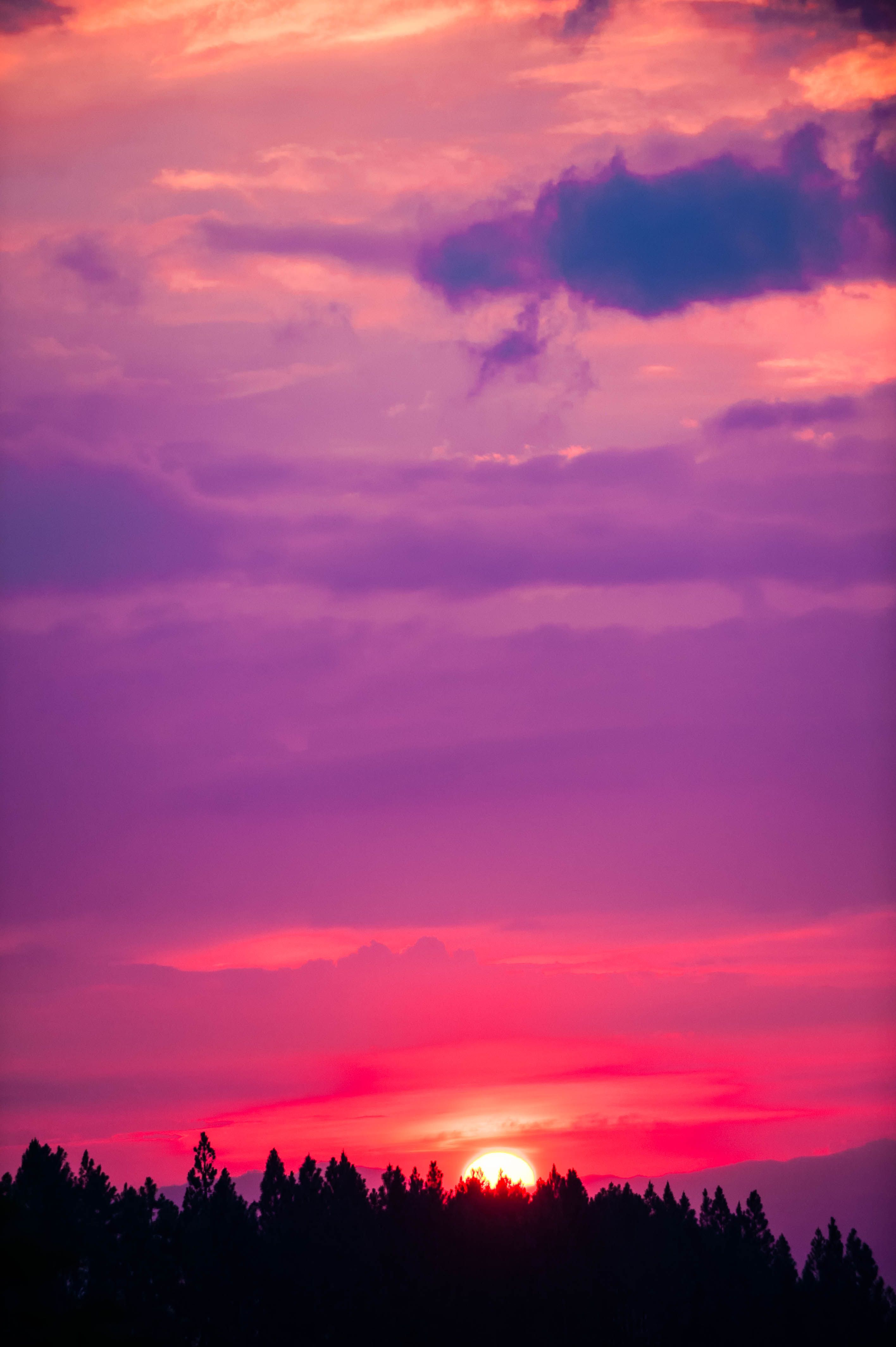 Pink Sunset Wallpapers