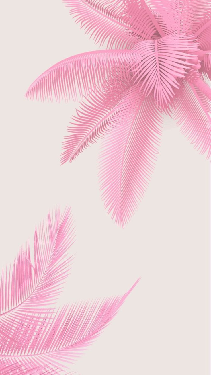 Pink Tropical Wallpapers