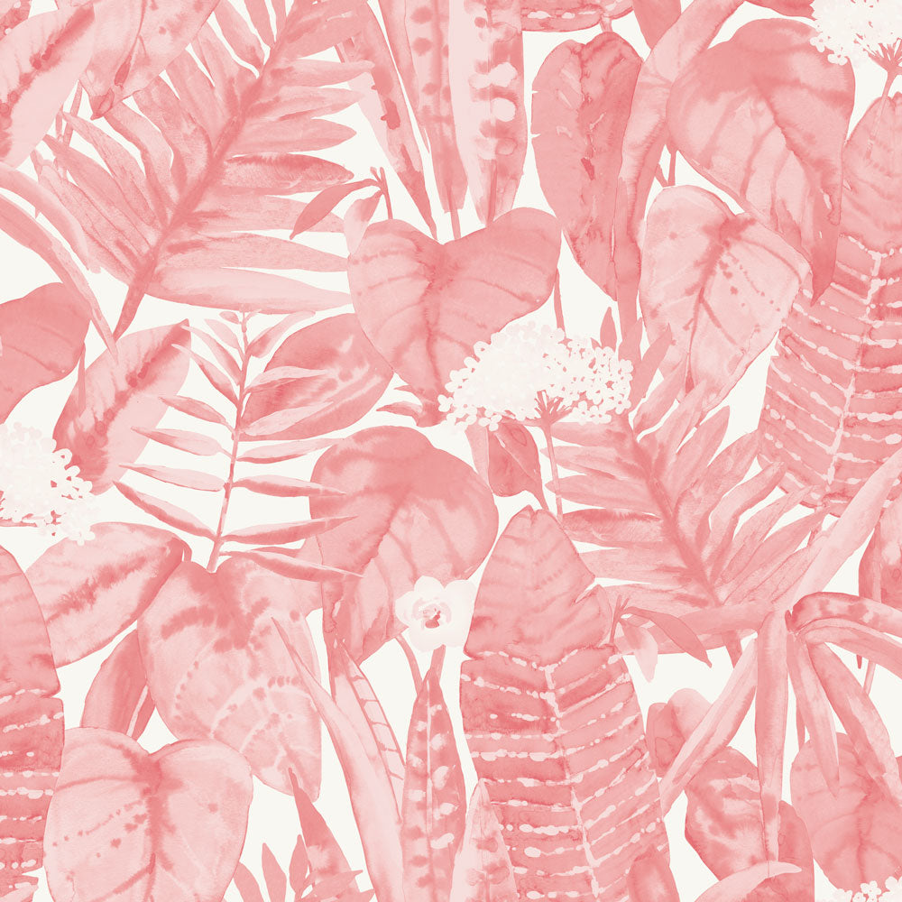 Pink Tropical Wallpapers