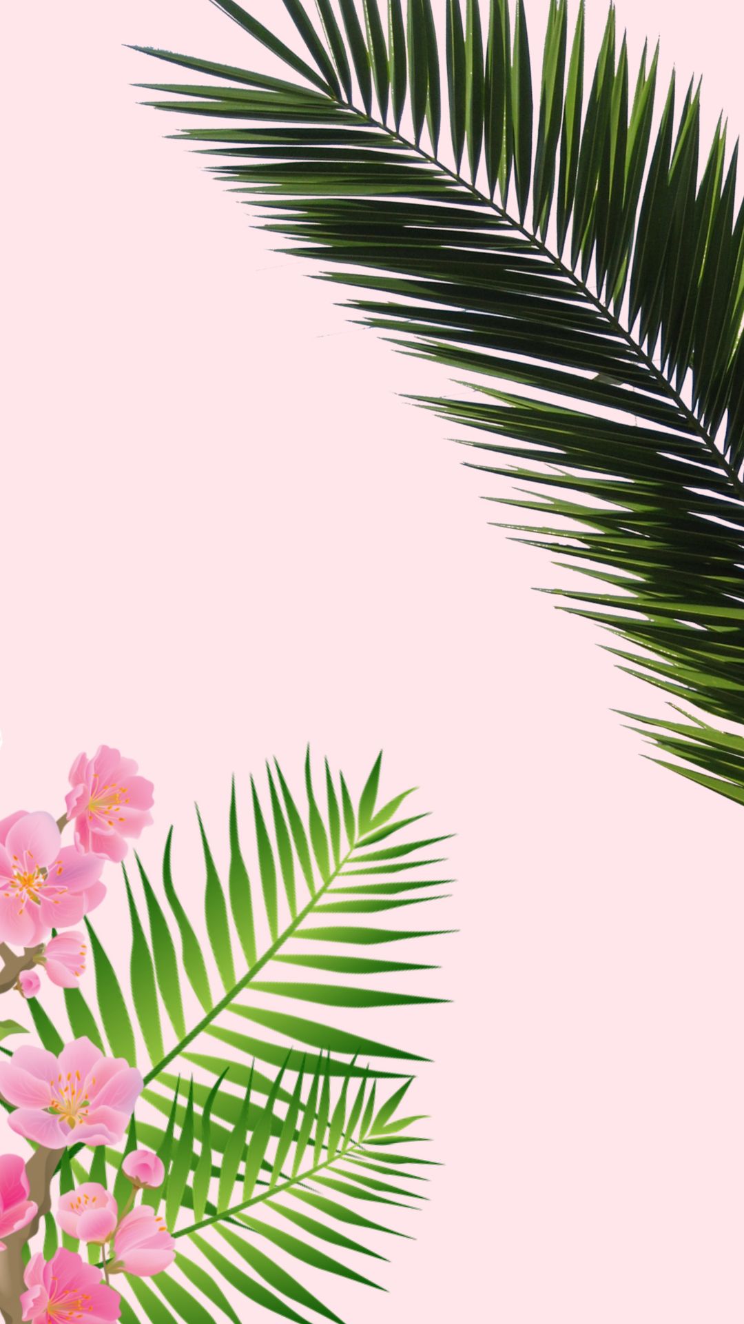 Pink Tropical Wallpapers