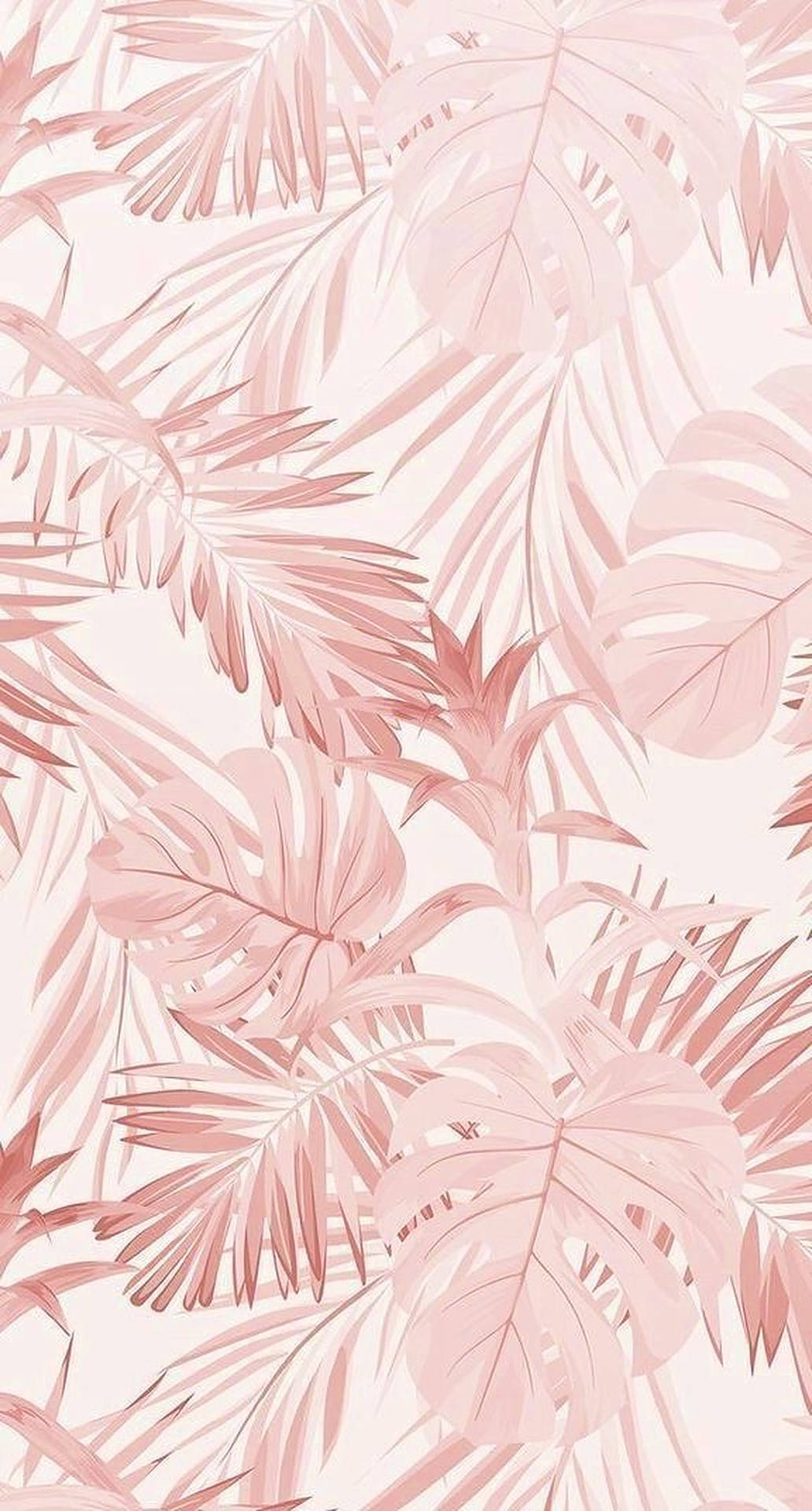 Pink Tropical Wallpapers