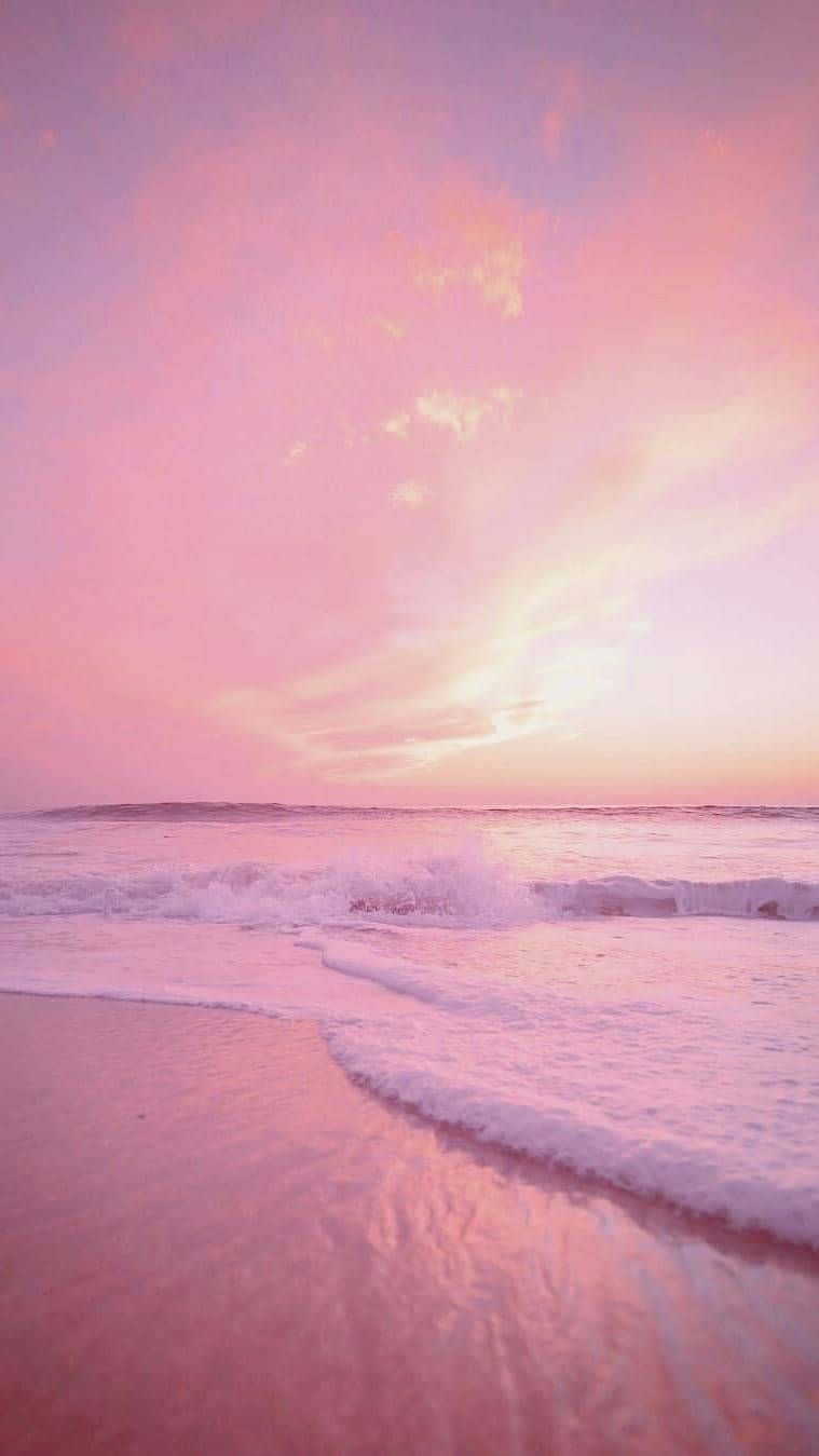 Pink Tropical Wallpapers