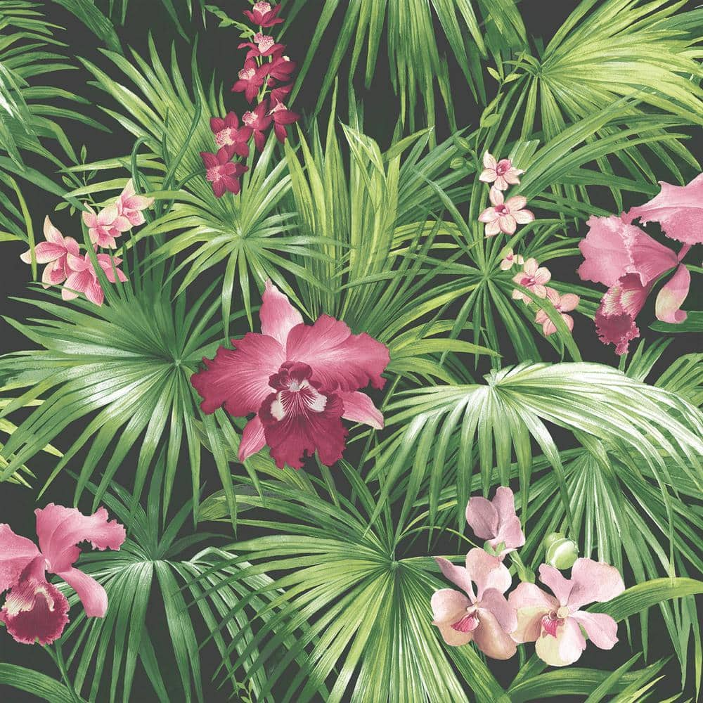 Pink Tropical Wallpapers