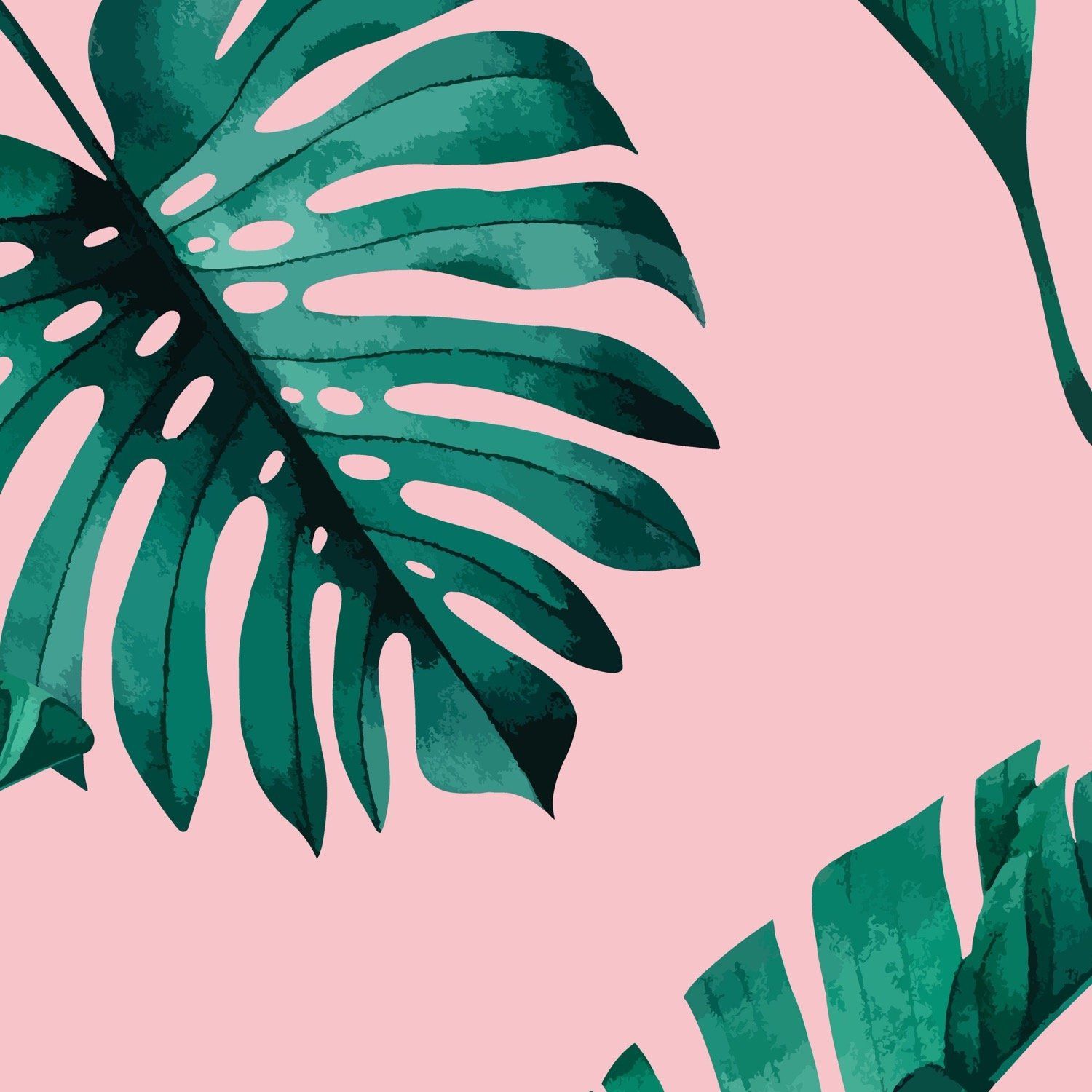 Pink Tropical Wallpapers