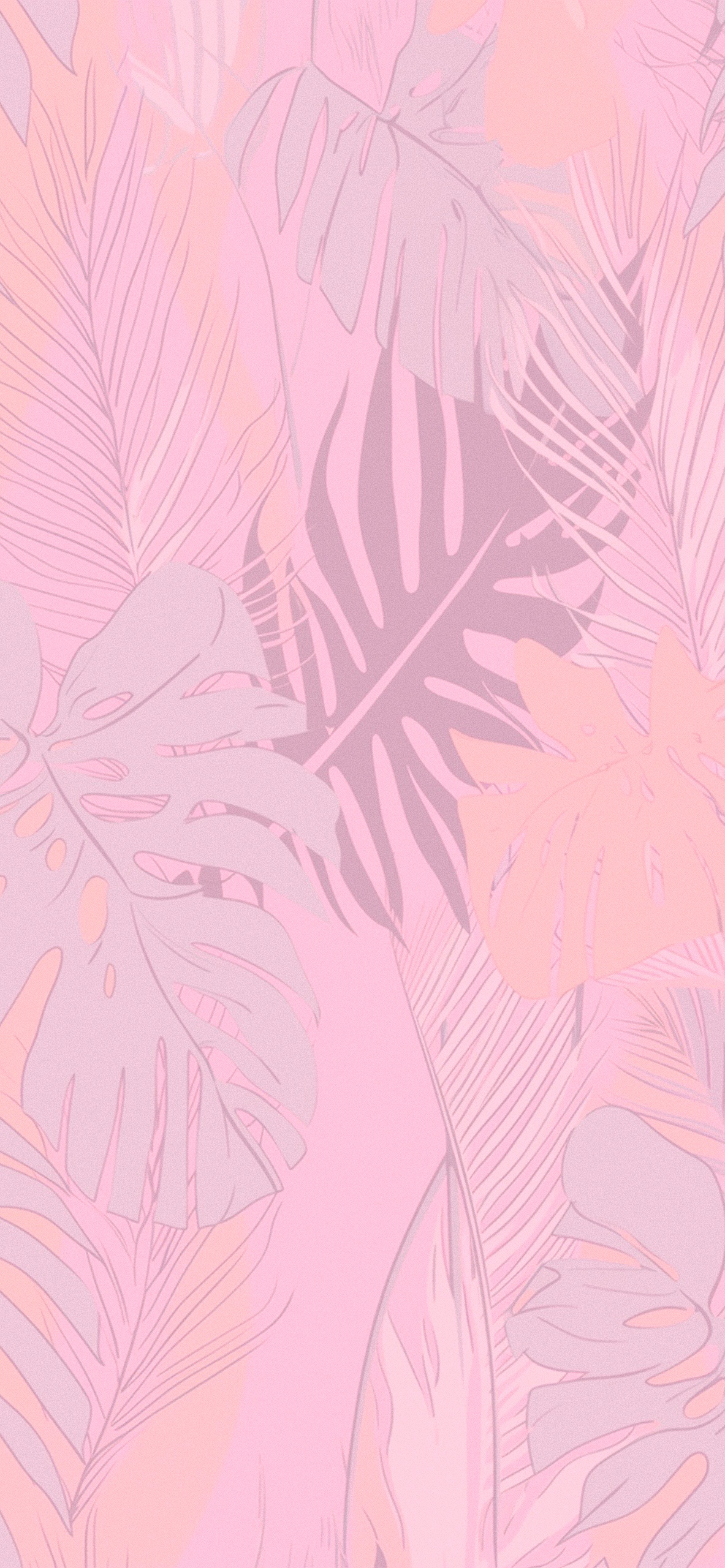 Pink Tropical Wallpapers