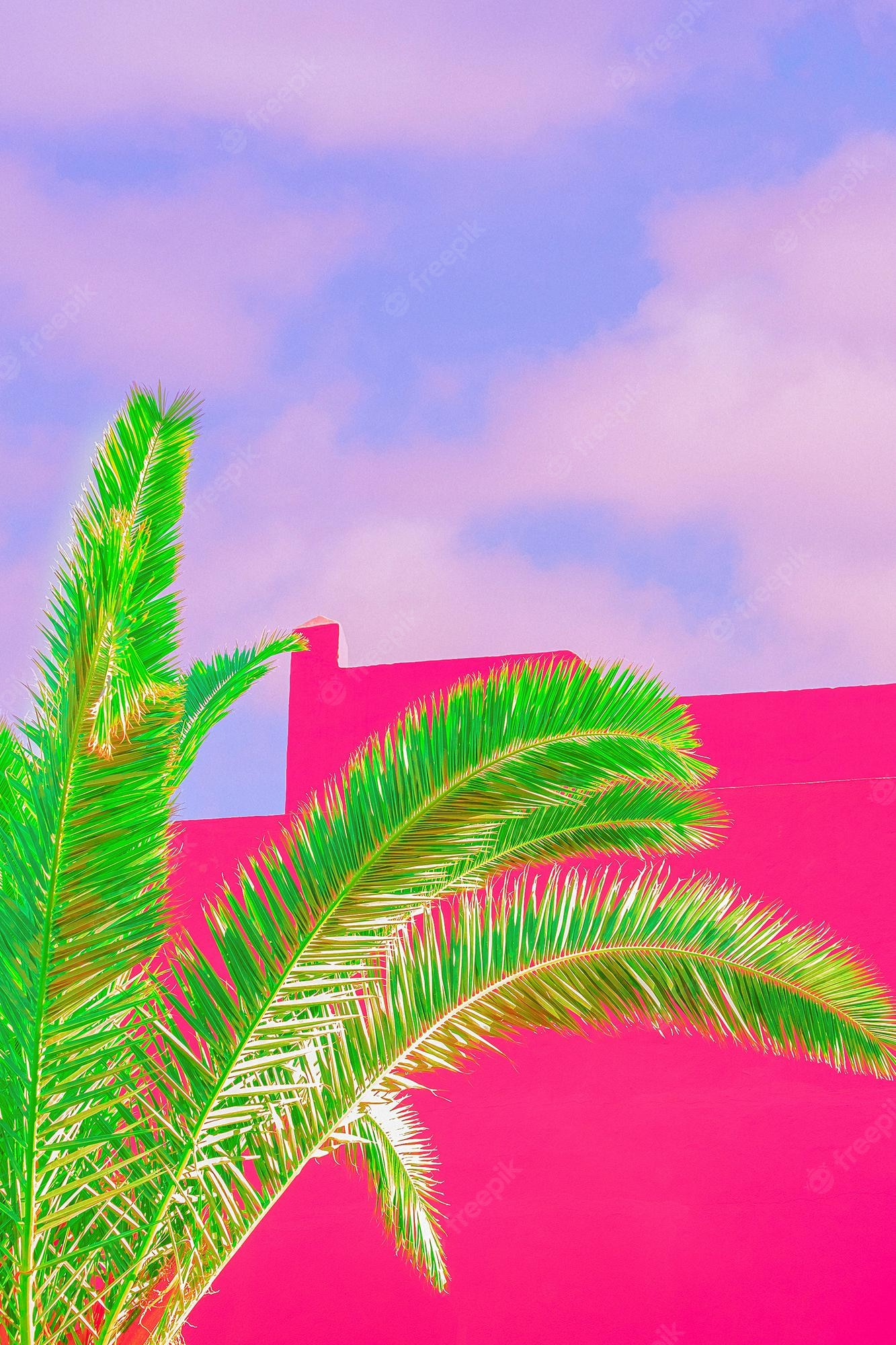 Pink Tropical Wallpapers