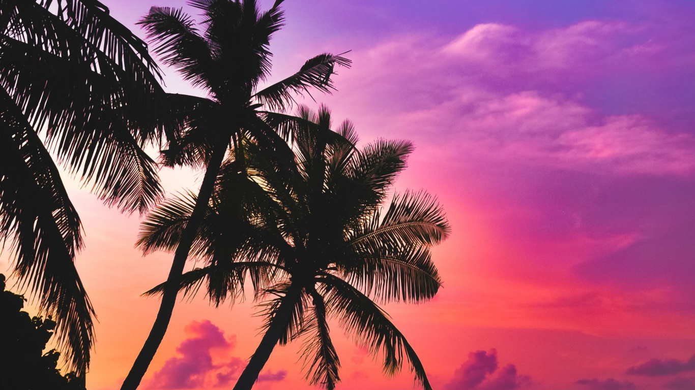 Pink Tropical Wallpapers