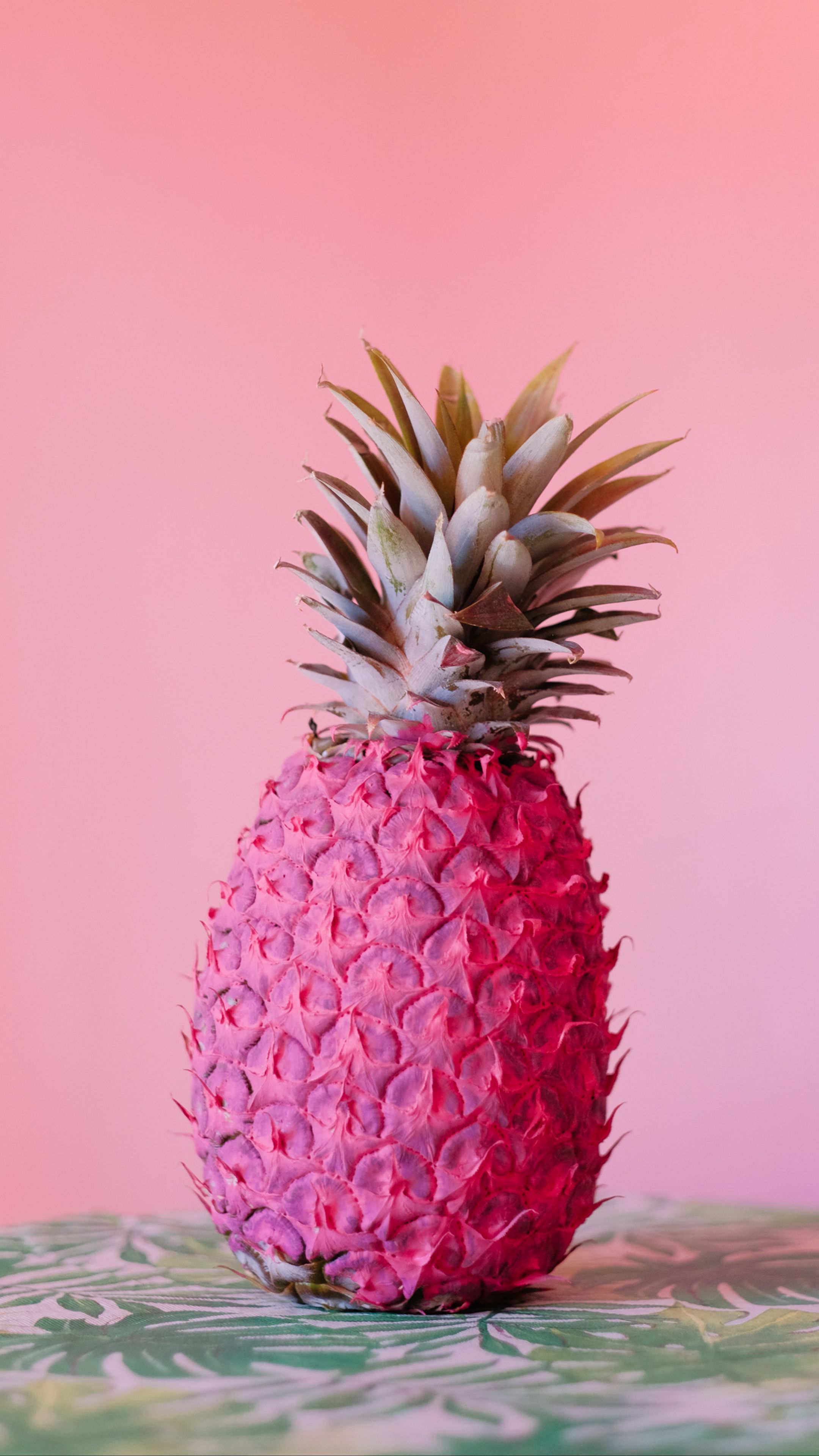 Pink Tropical Wallpapers