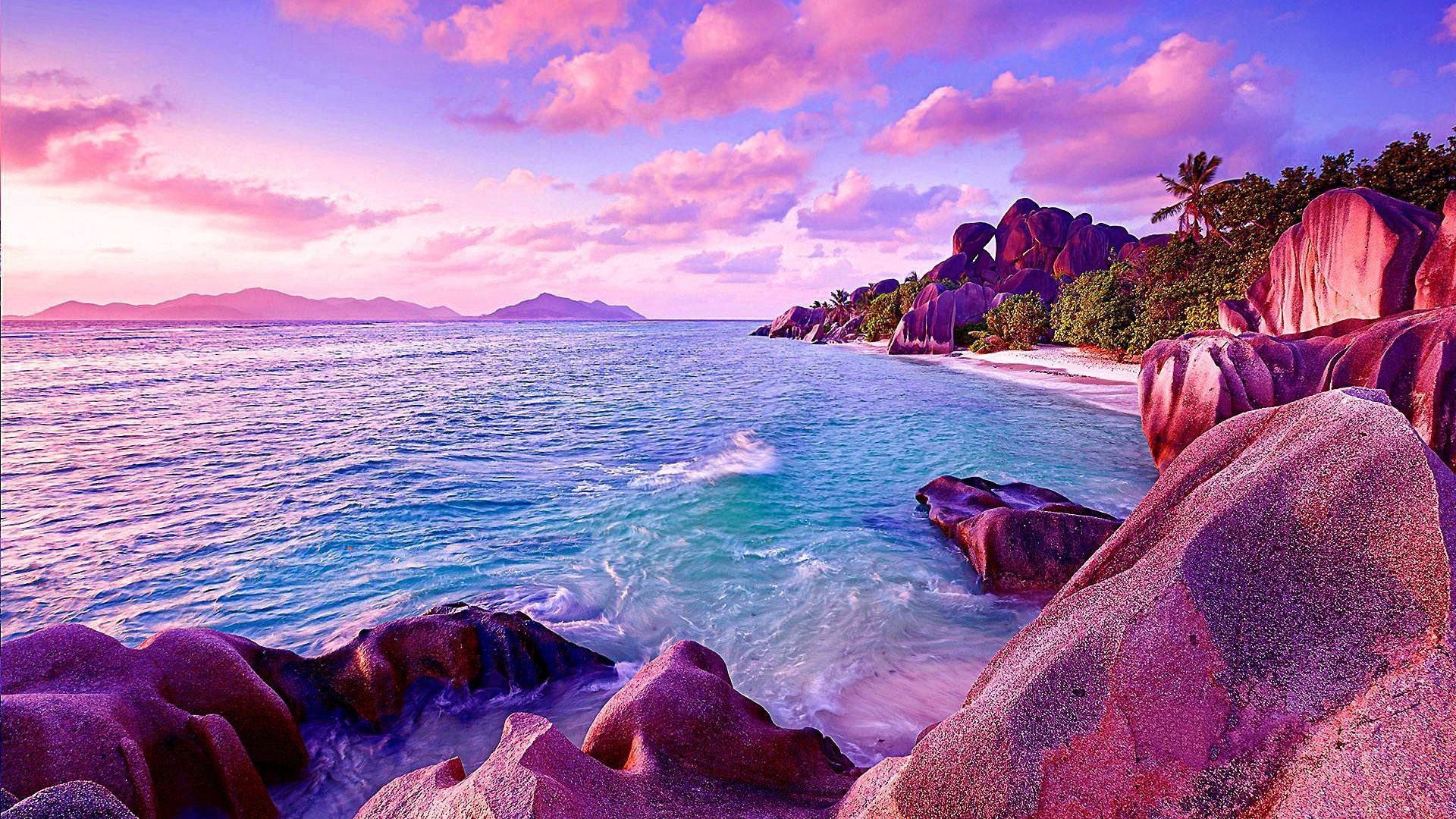 Pink Tropical Wallpapers