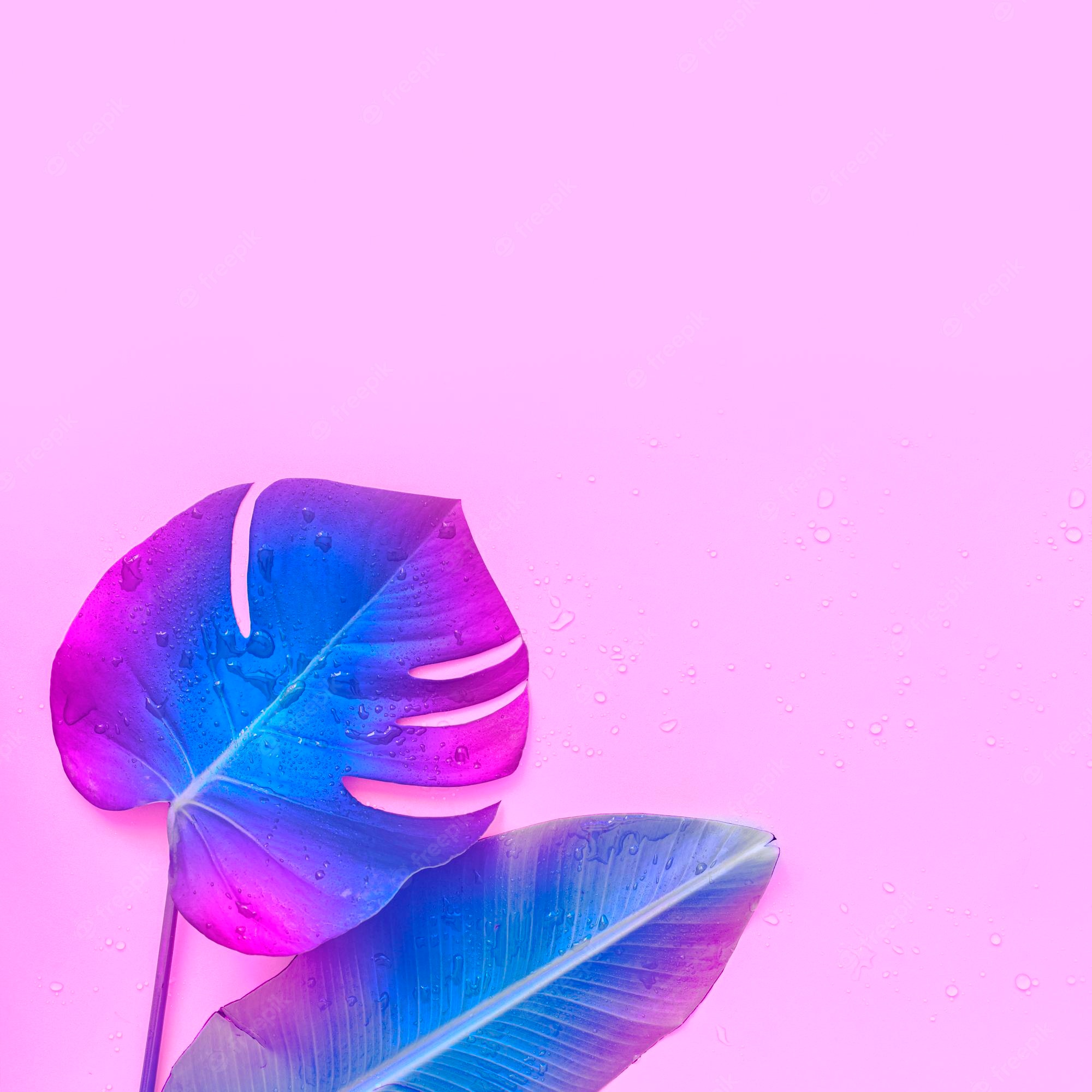 Pink Tropical Wallpapers