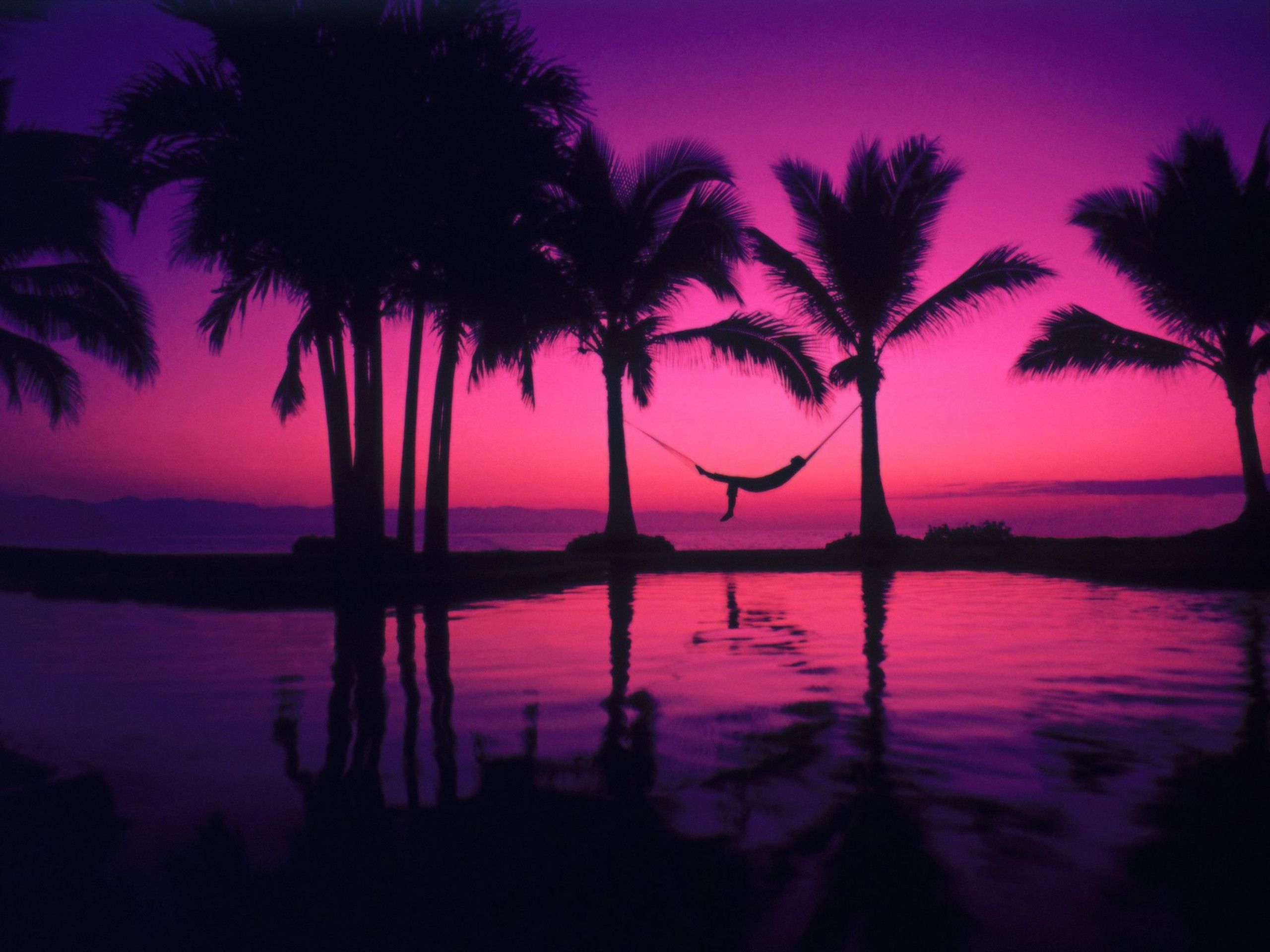 Pink Tropical Wallpapers