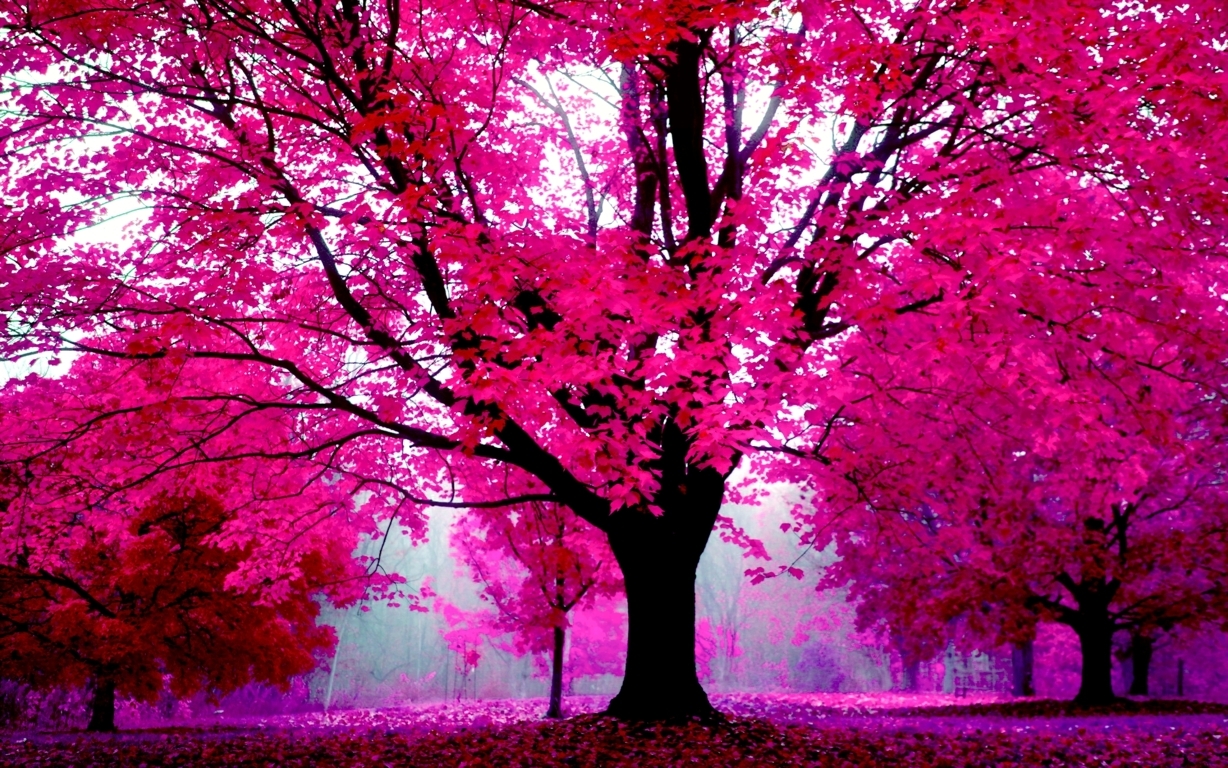 Pink Tumblr Hd Wallpapers